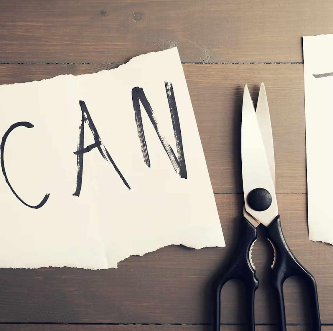 Curiosity, Connection, and Confidence: : A New Path to Motivation for 2e Kids