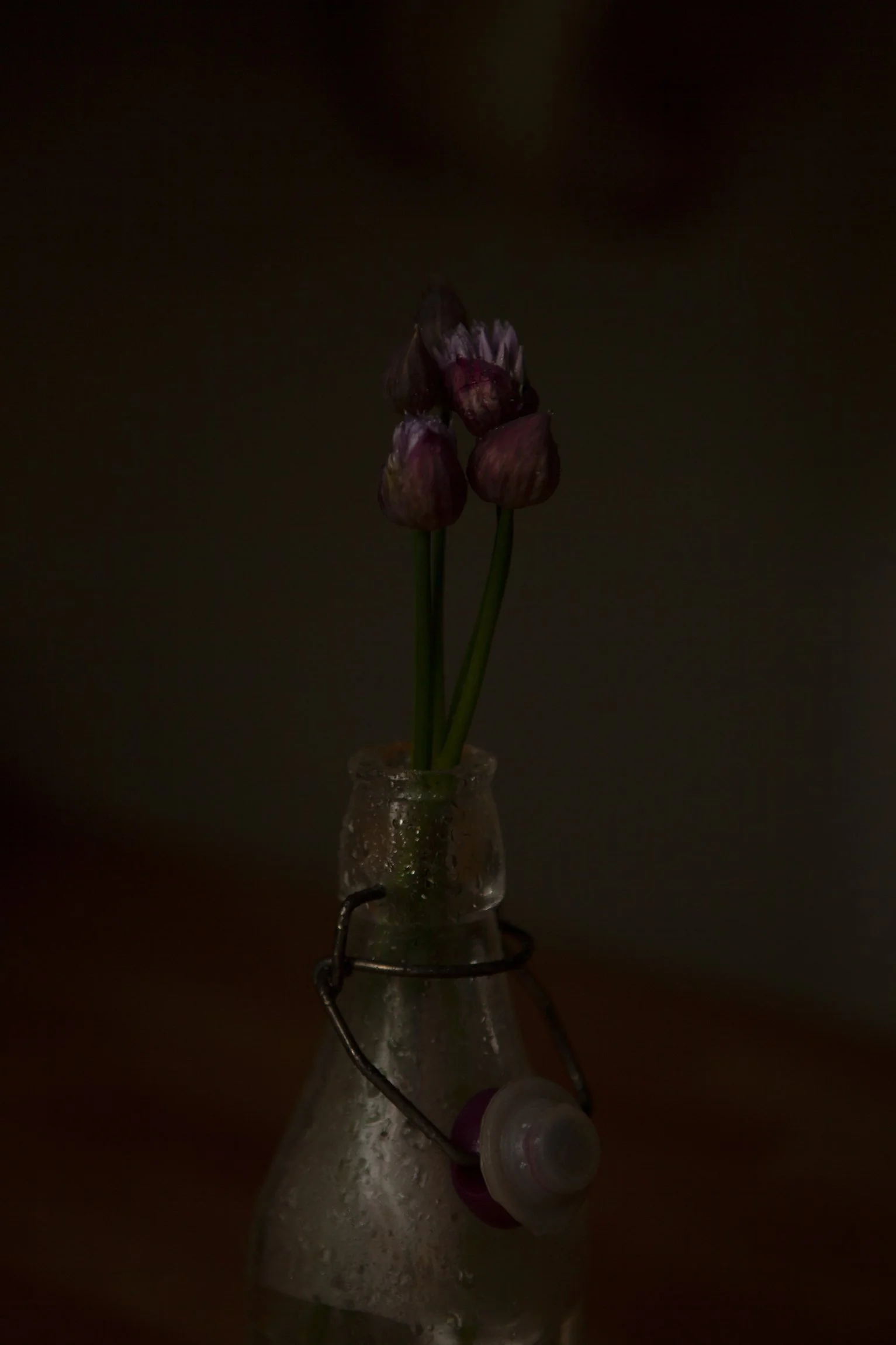 CMarchbank_ShotInIsolation_April 28_I.jpg