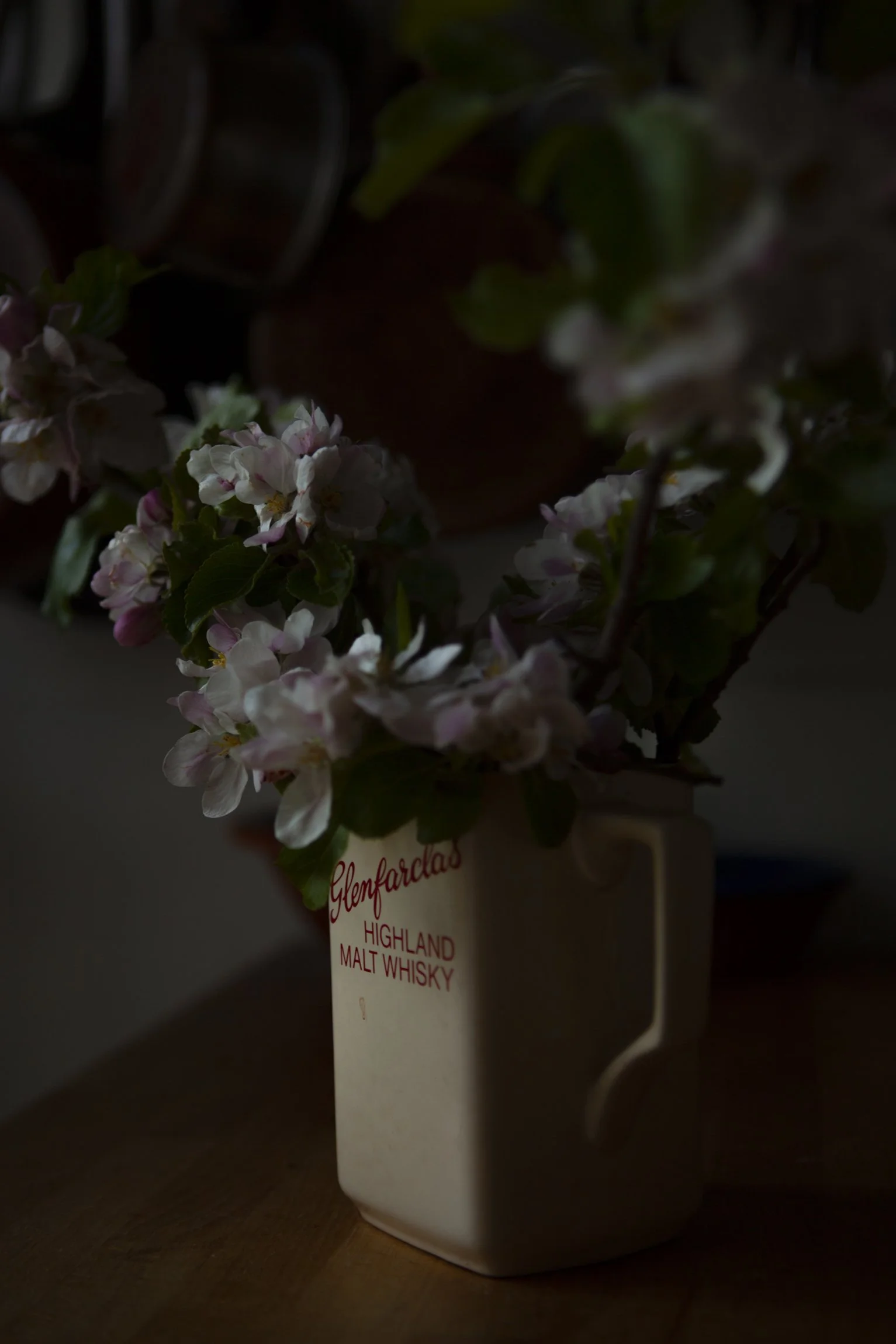 CMarchbank_ShotInIsolation_April 16.jpg