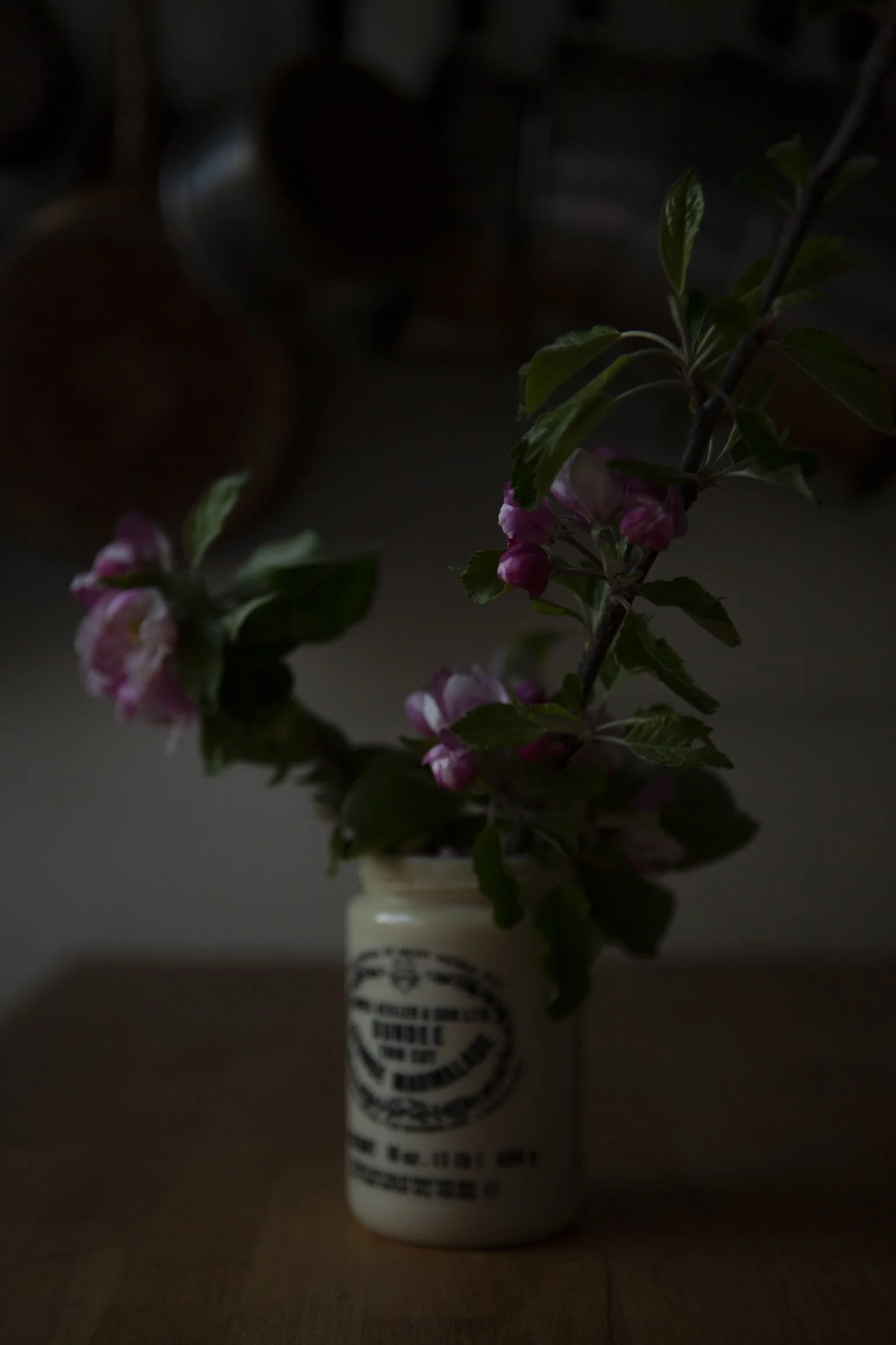 CMarchbank_ShotInIsolation_April 23_IV.jpg