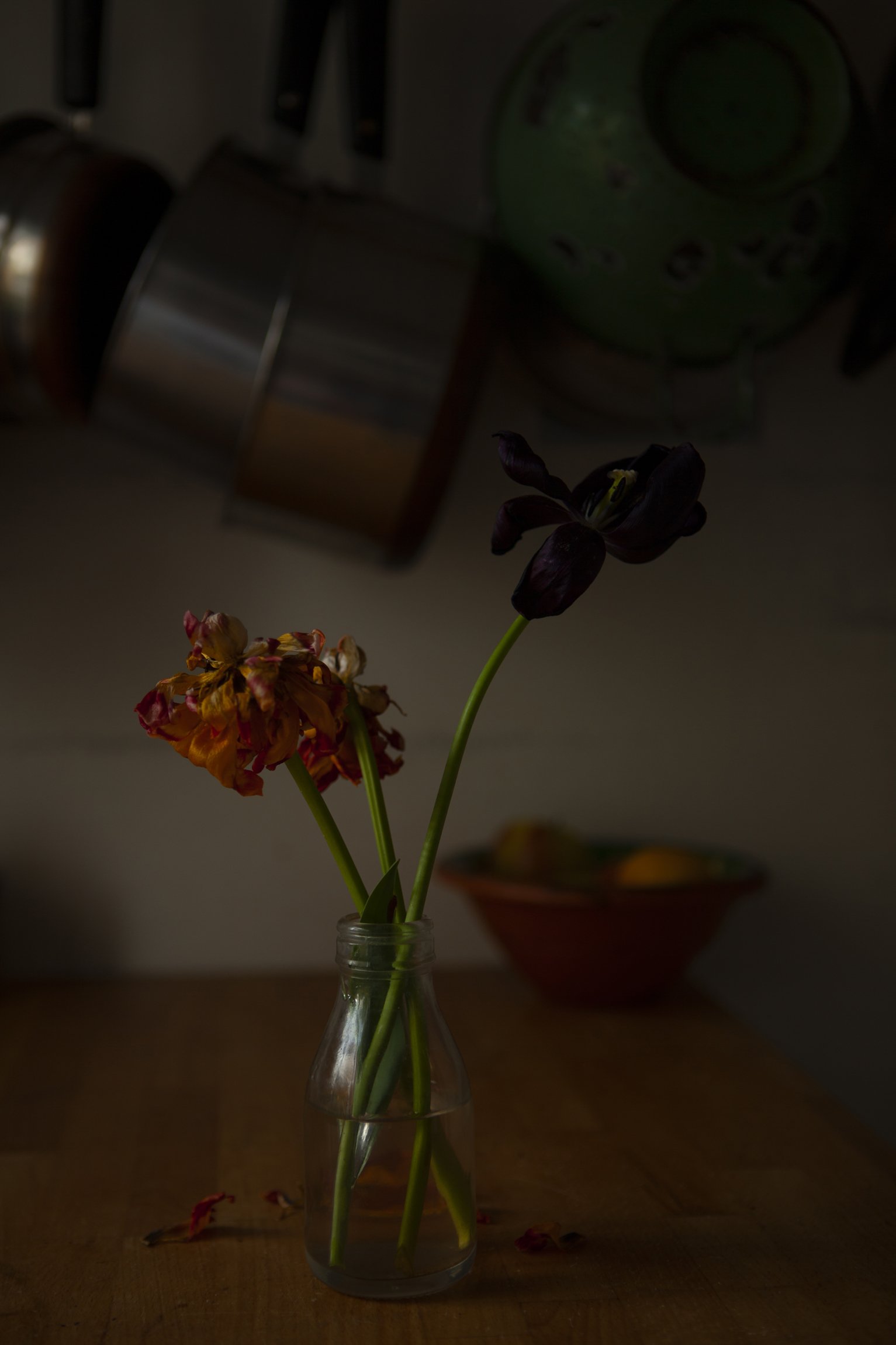 CMarchbank_ShotInIsolation_April 25_IV.jpg