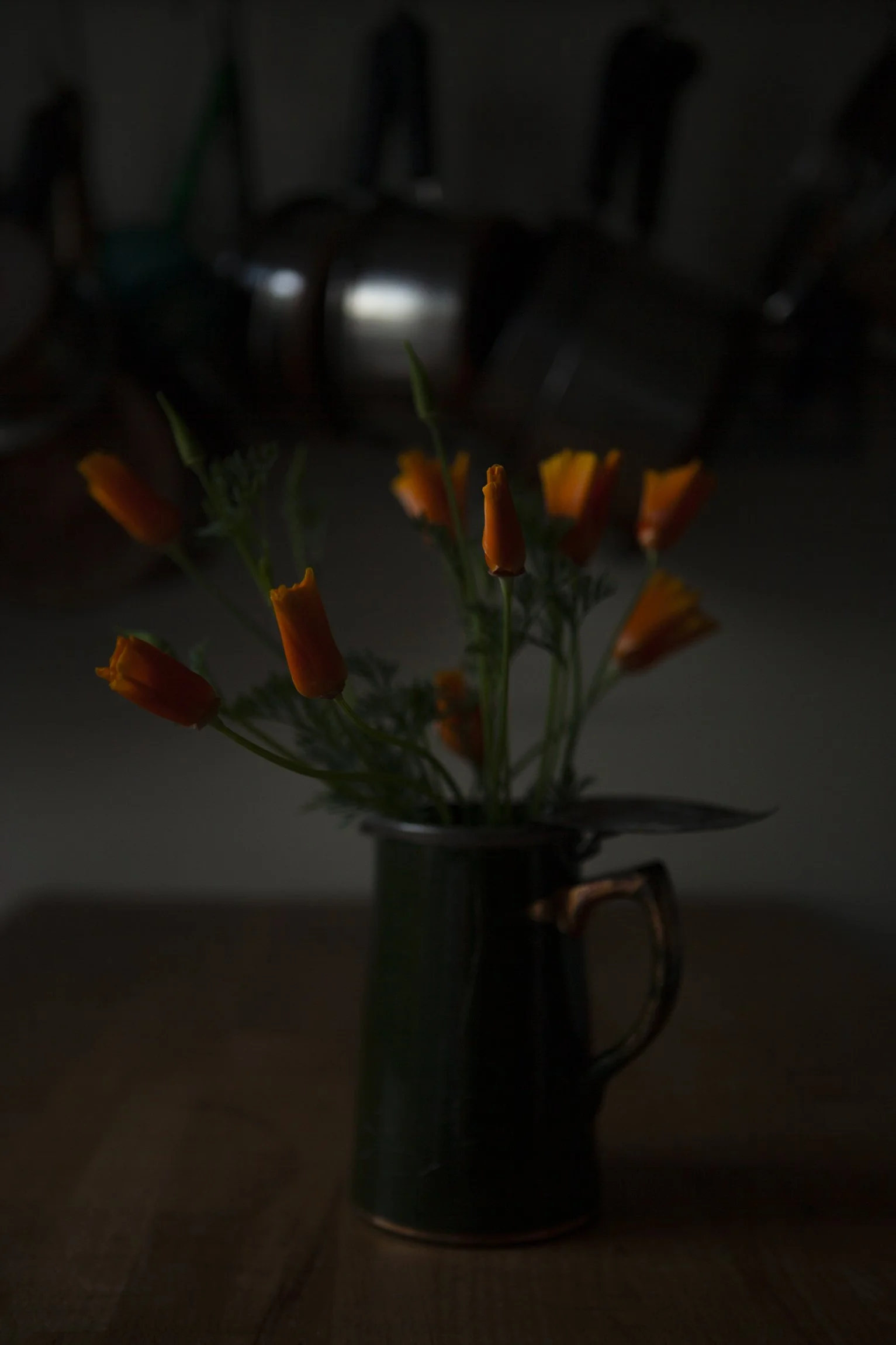 CMarchbank_ShotInIsolation_May 5.jpg