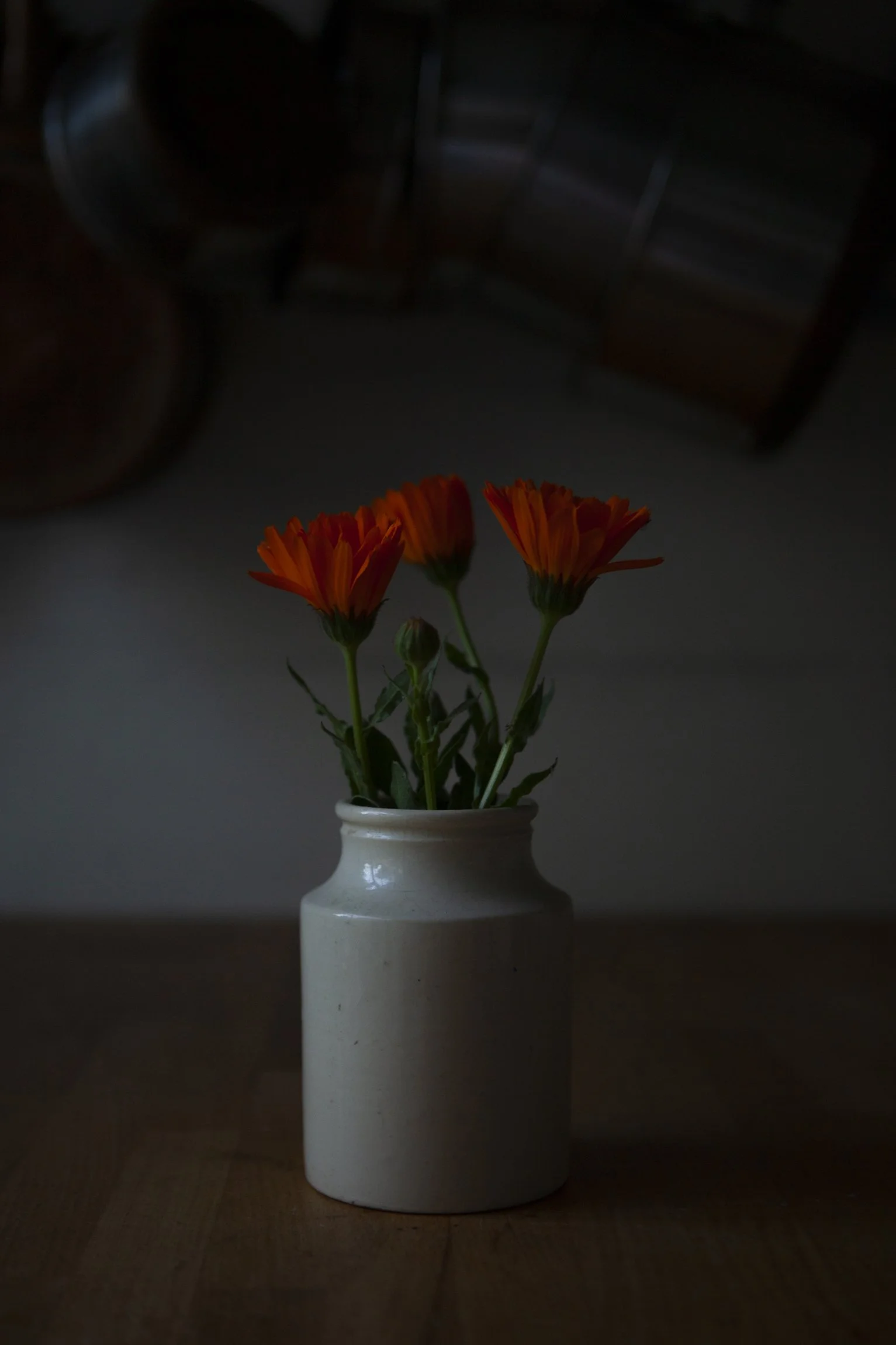 CMarchbank_ShotInIsolation_April 23_II.jpg