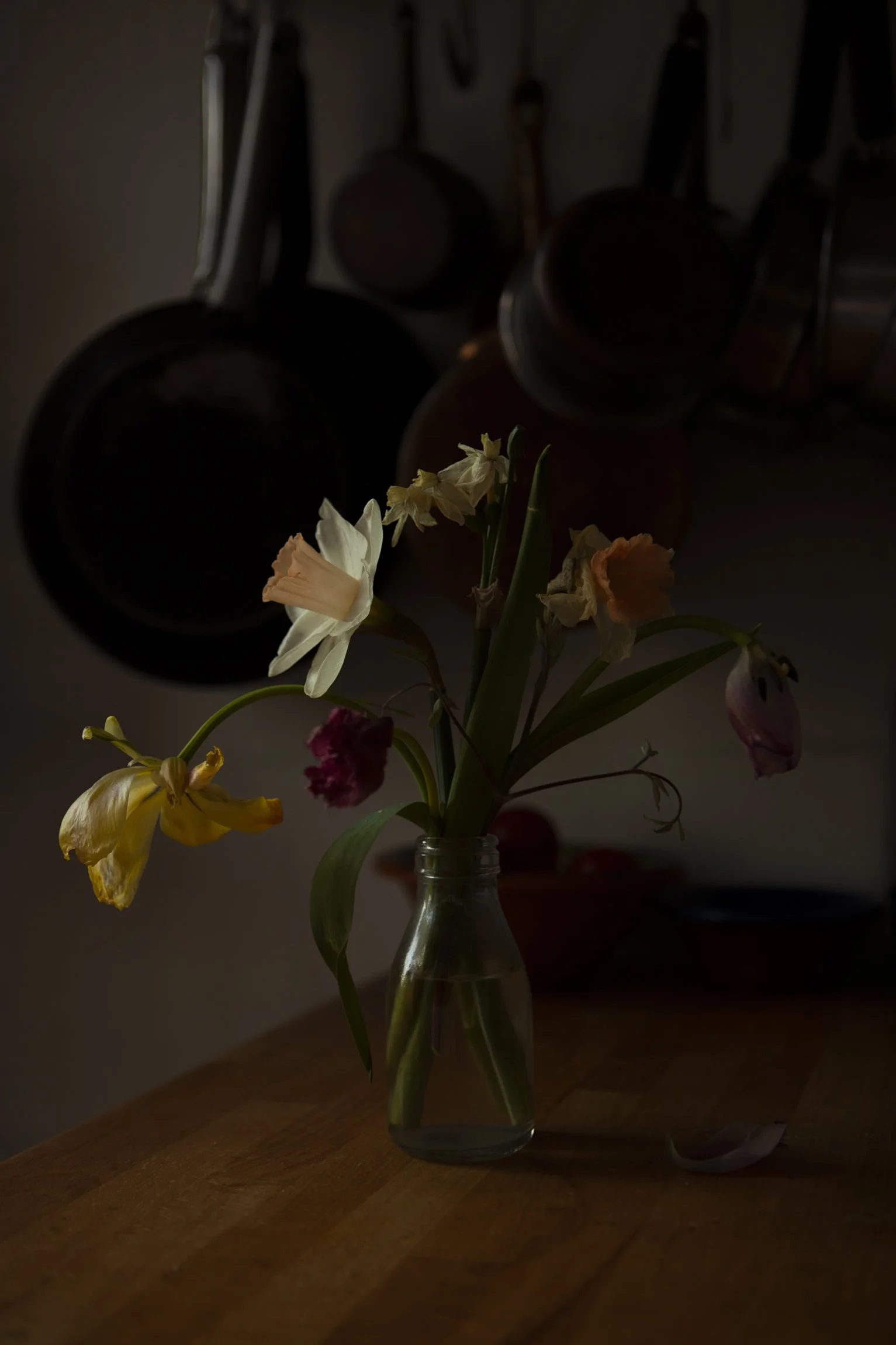 CMarchbank_ShotInIsolation_April 13.jpg