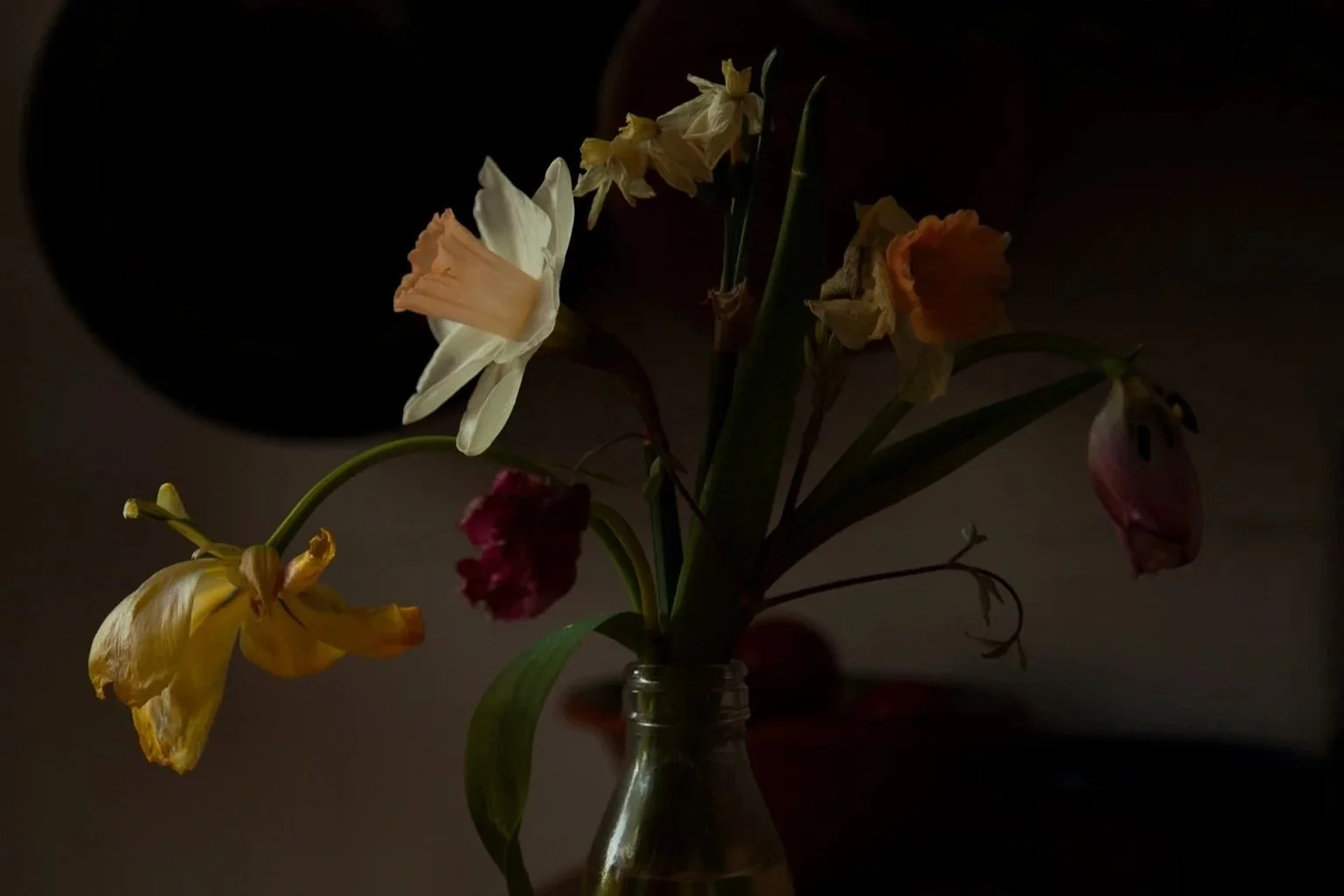 Shot in Isolation