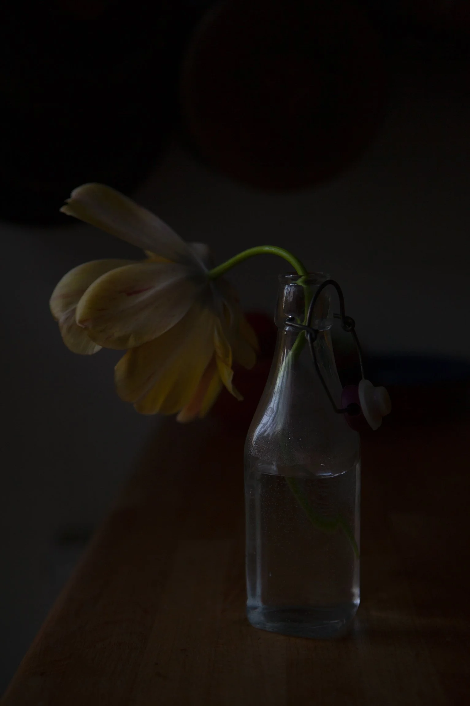 CMarchbank_ShotInIsolation_April 14.jpg