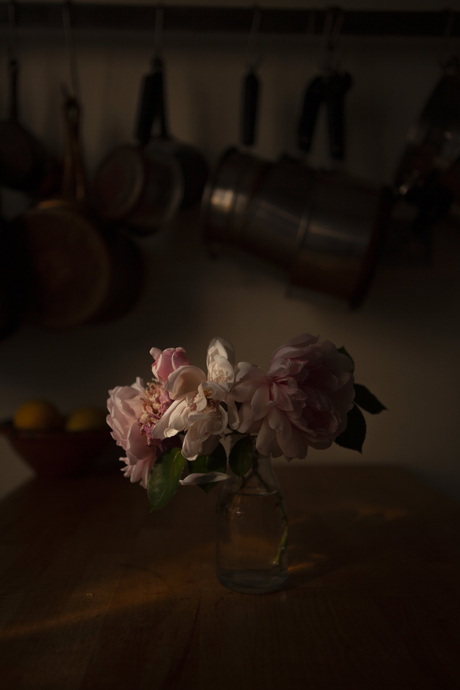 CMarchbank_ShotInIsolation_May 30_IV.jpg