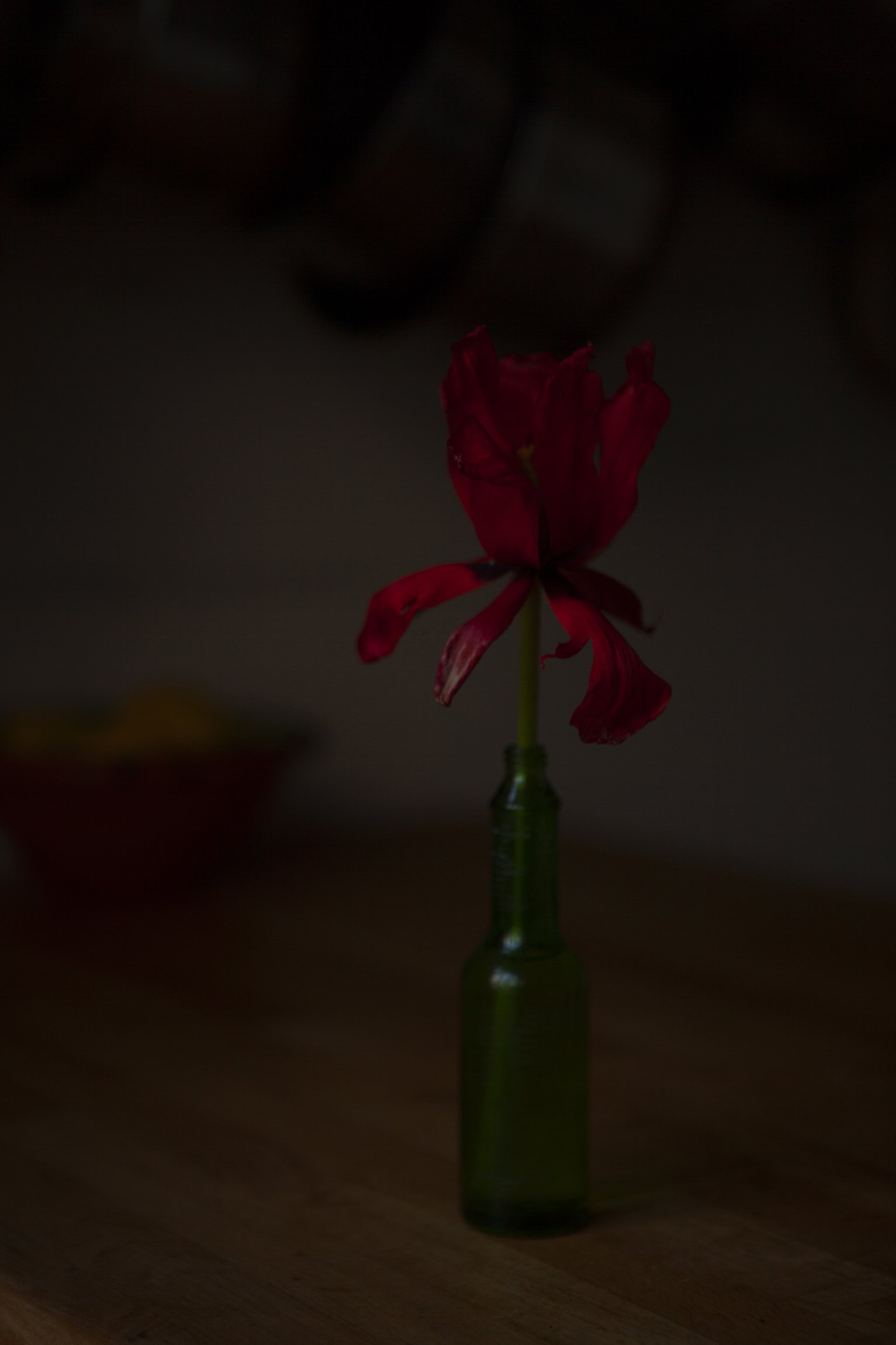 CMarchbank_ShotInIsolation_May 2.jpg