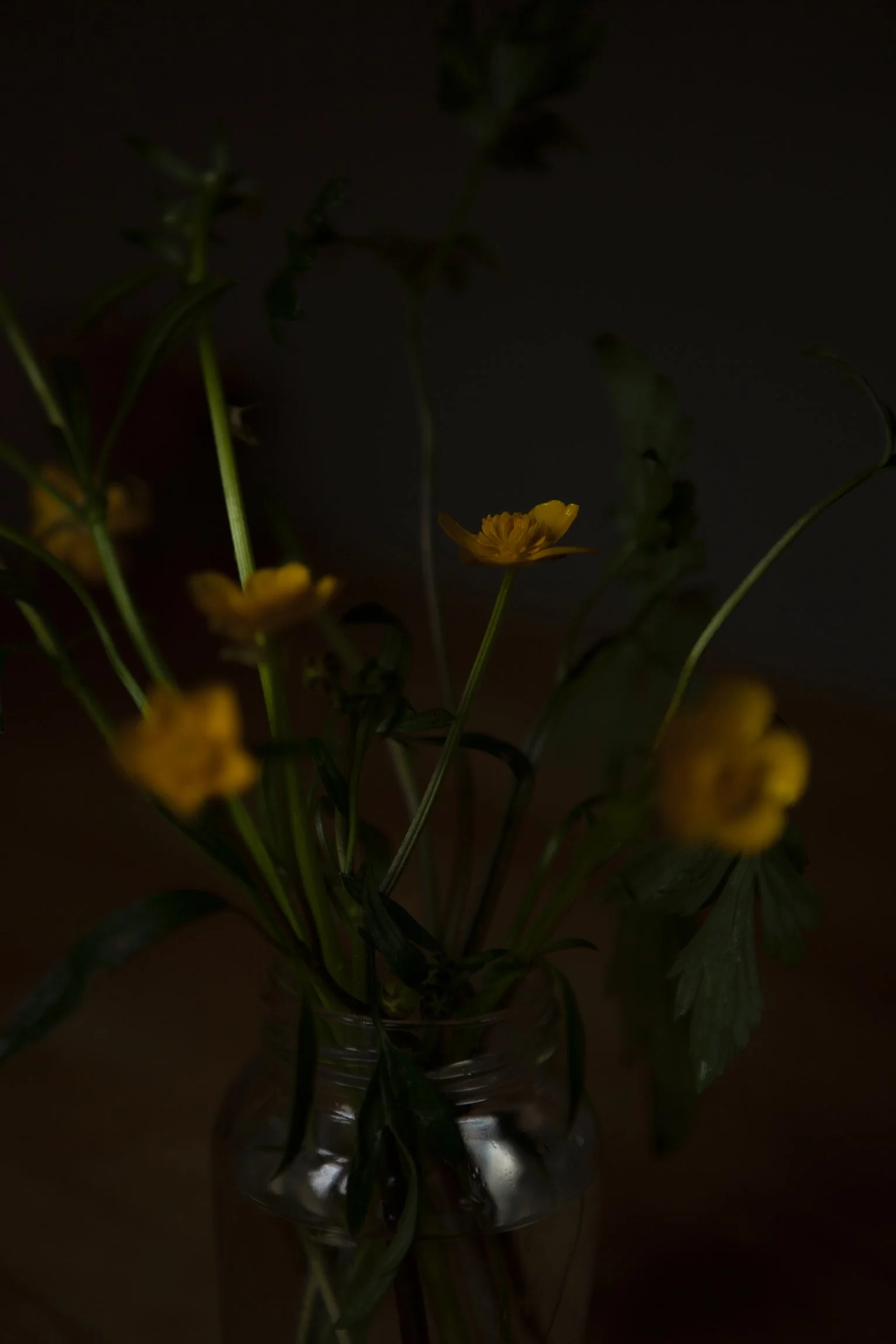 CMarchbank_ShotInIsolation_April 29.jpg