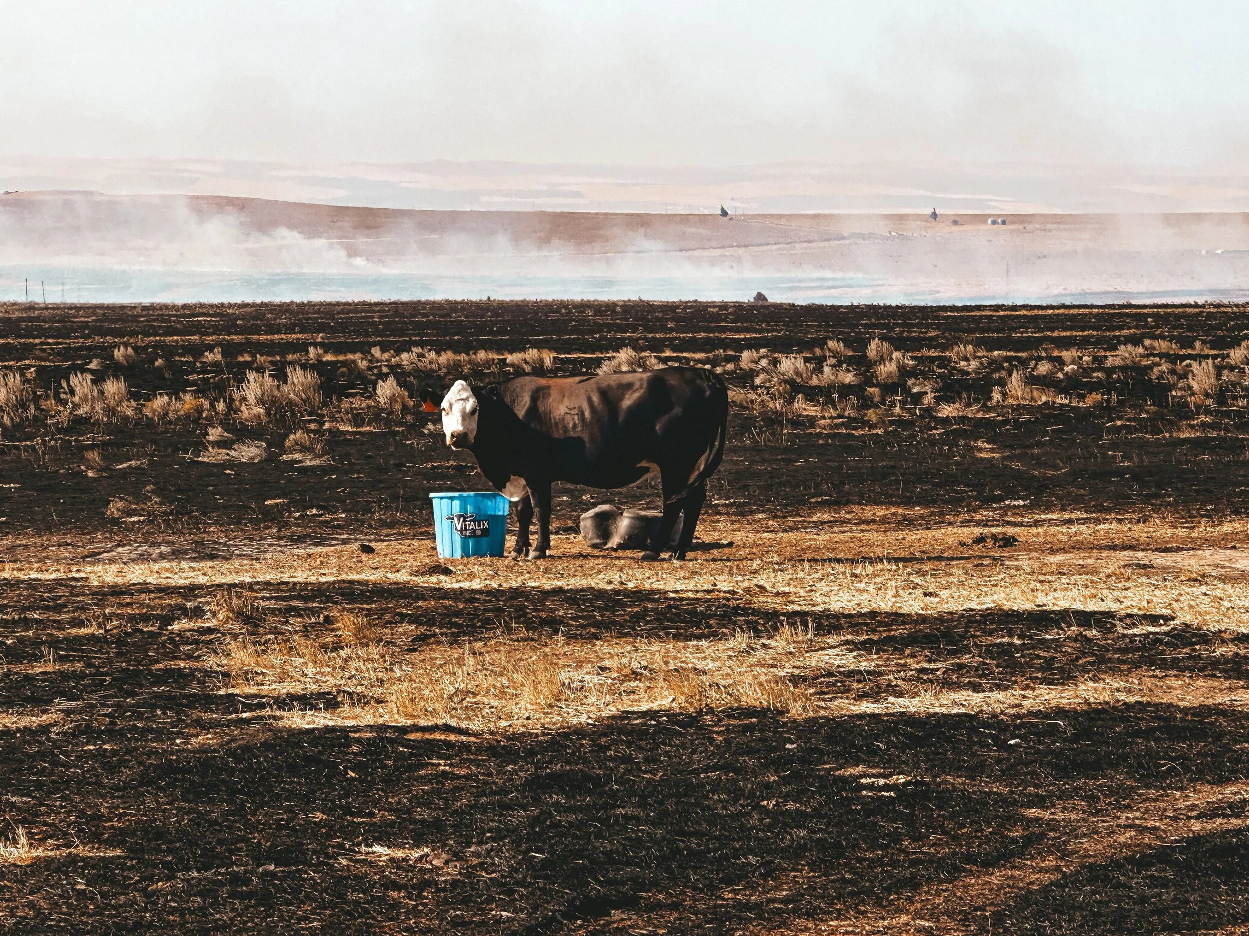 After the Big Horn Fire
