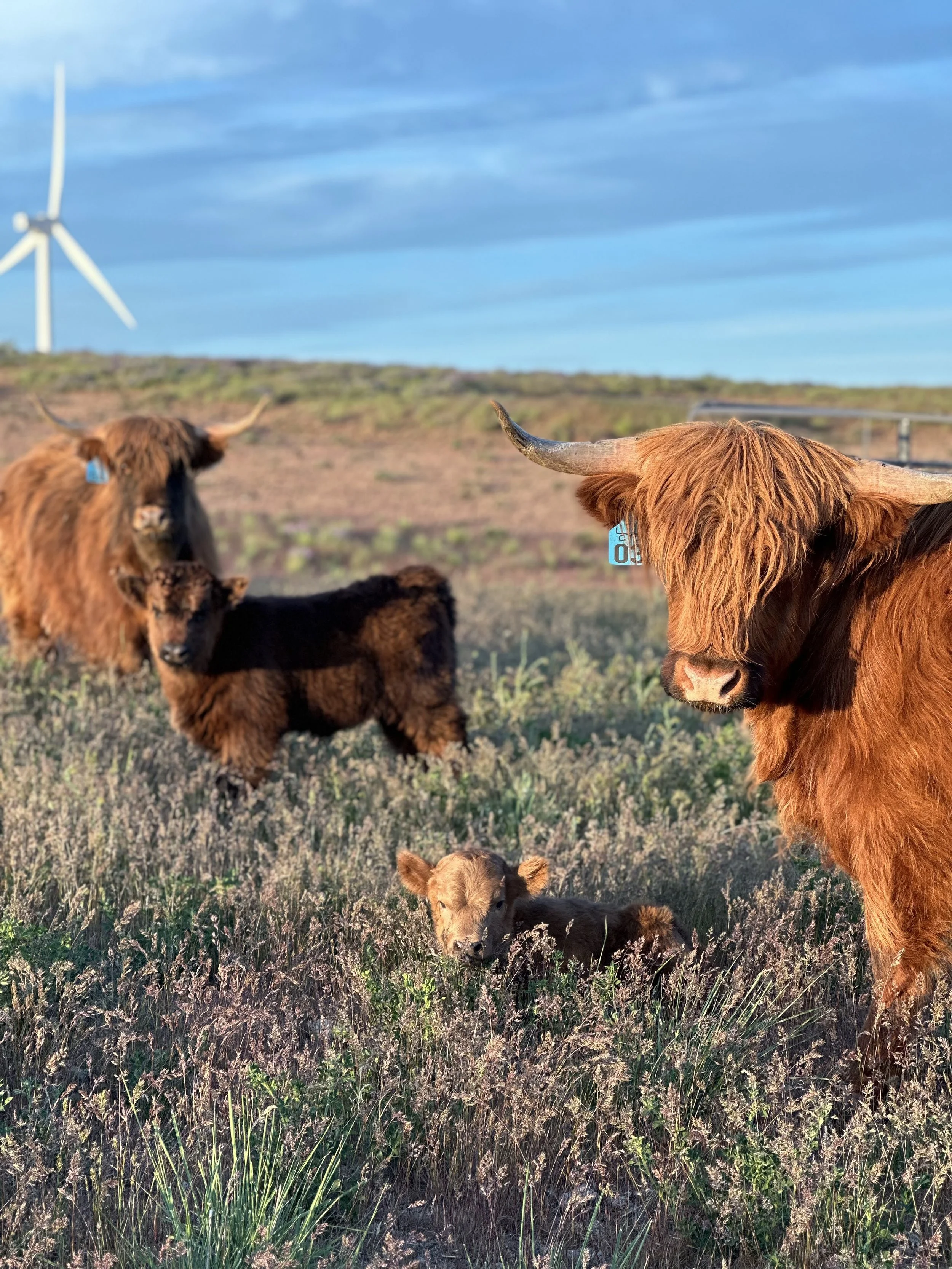 2025: A Year of Patience and Progress