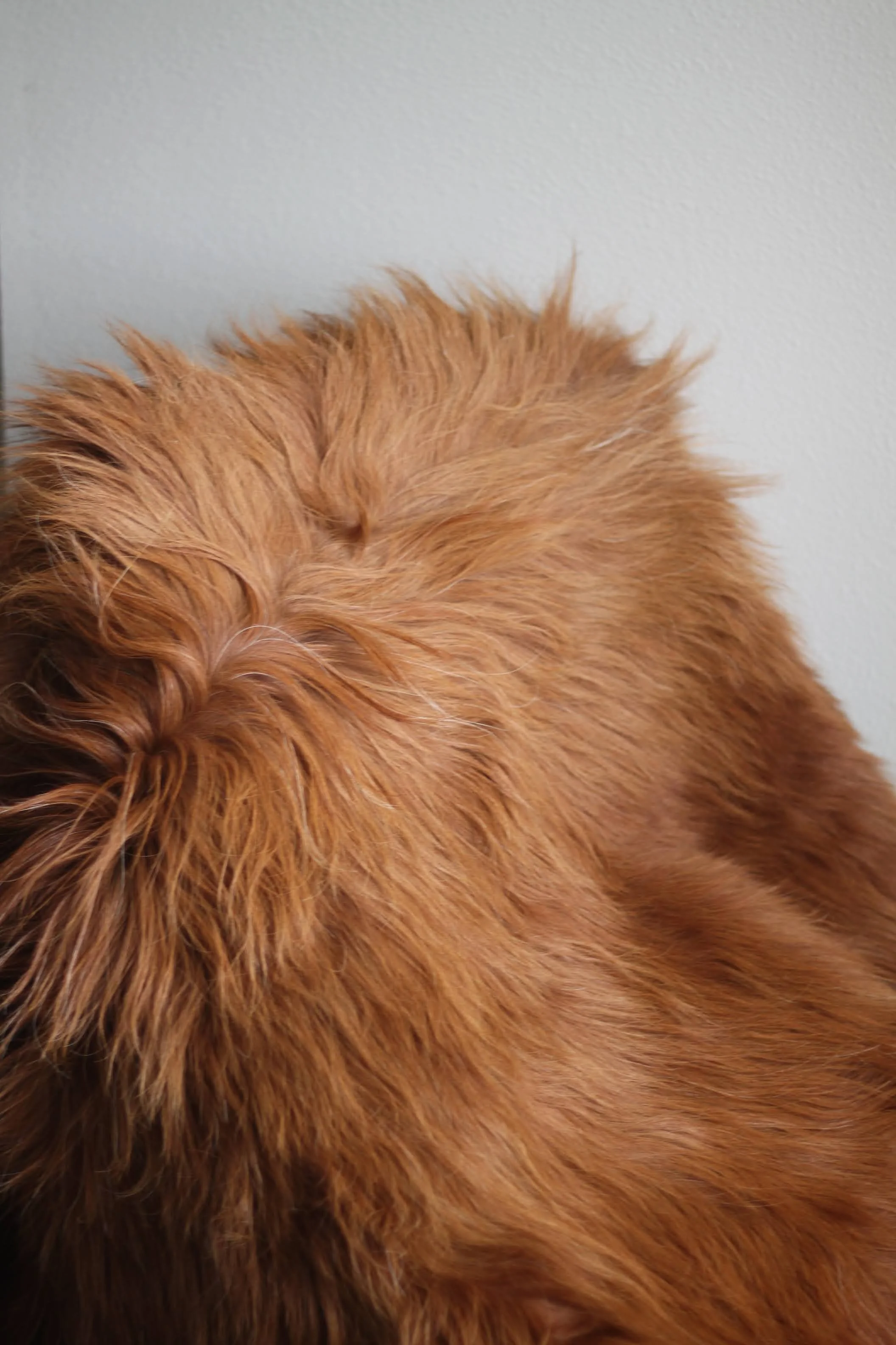 Red Highland Hide Rug