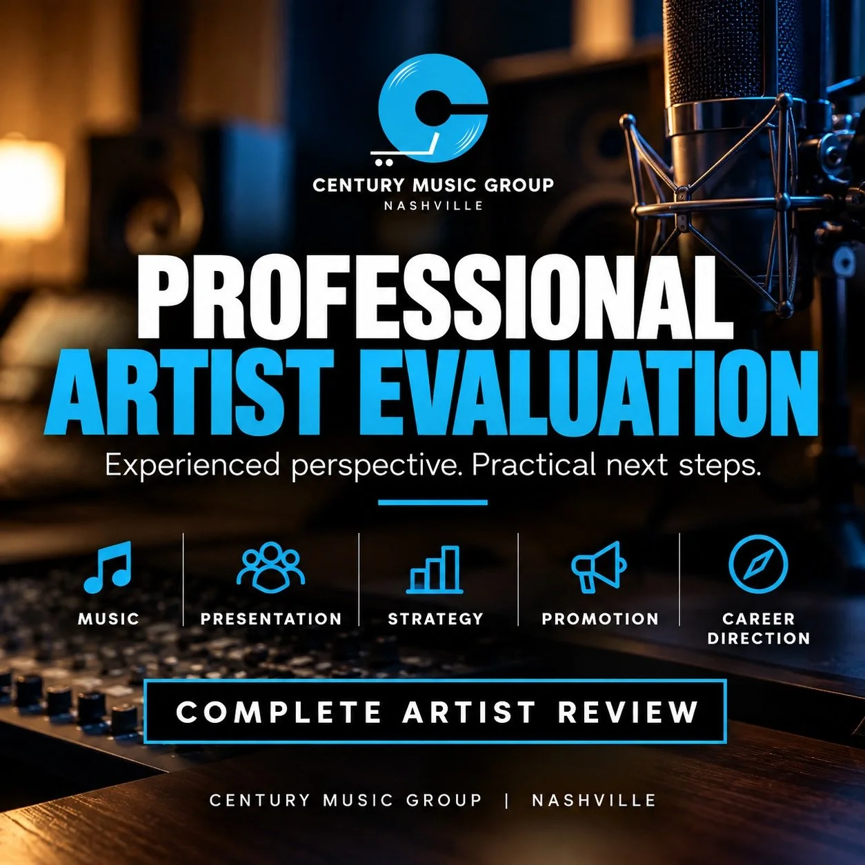 Professional Artist Evaluation