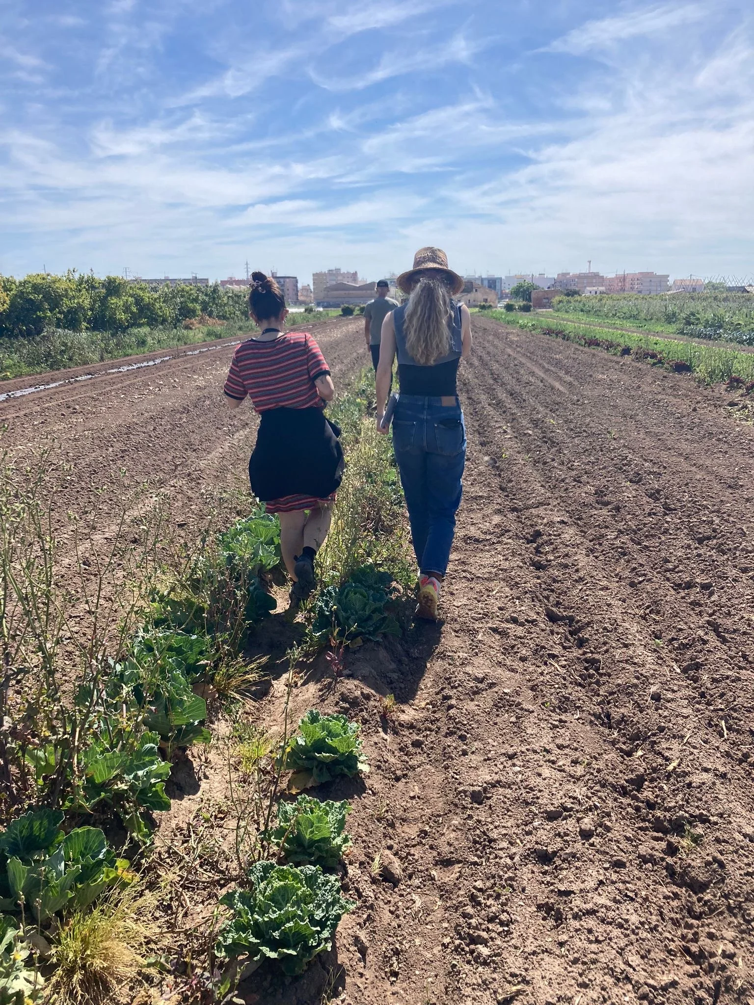 mediacion-huerta-y-taller-fermentos_@maider_sorasu