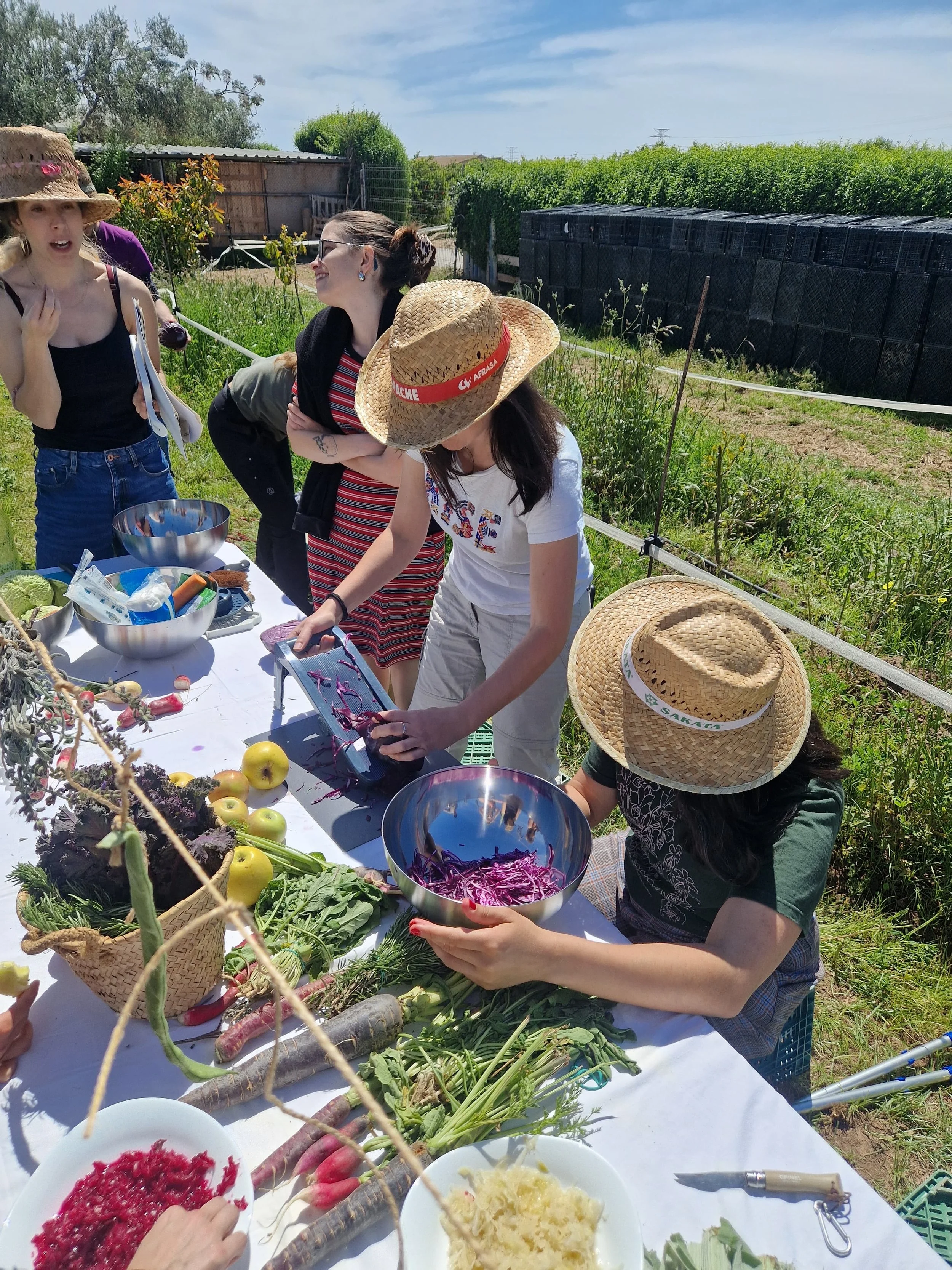 mediacion-huerta-y-taller-fermentos_@maider_sorasu