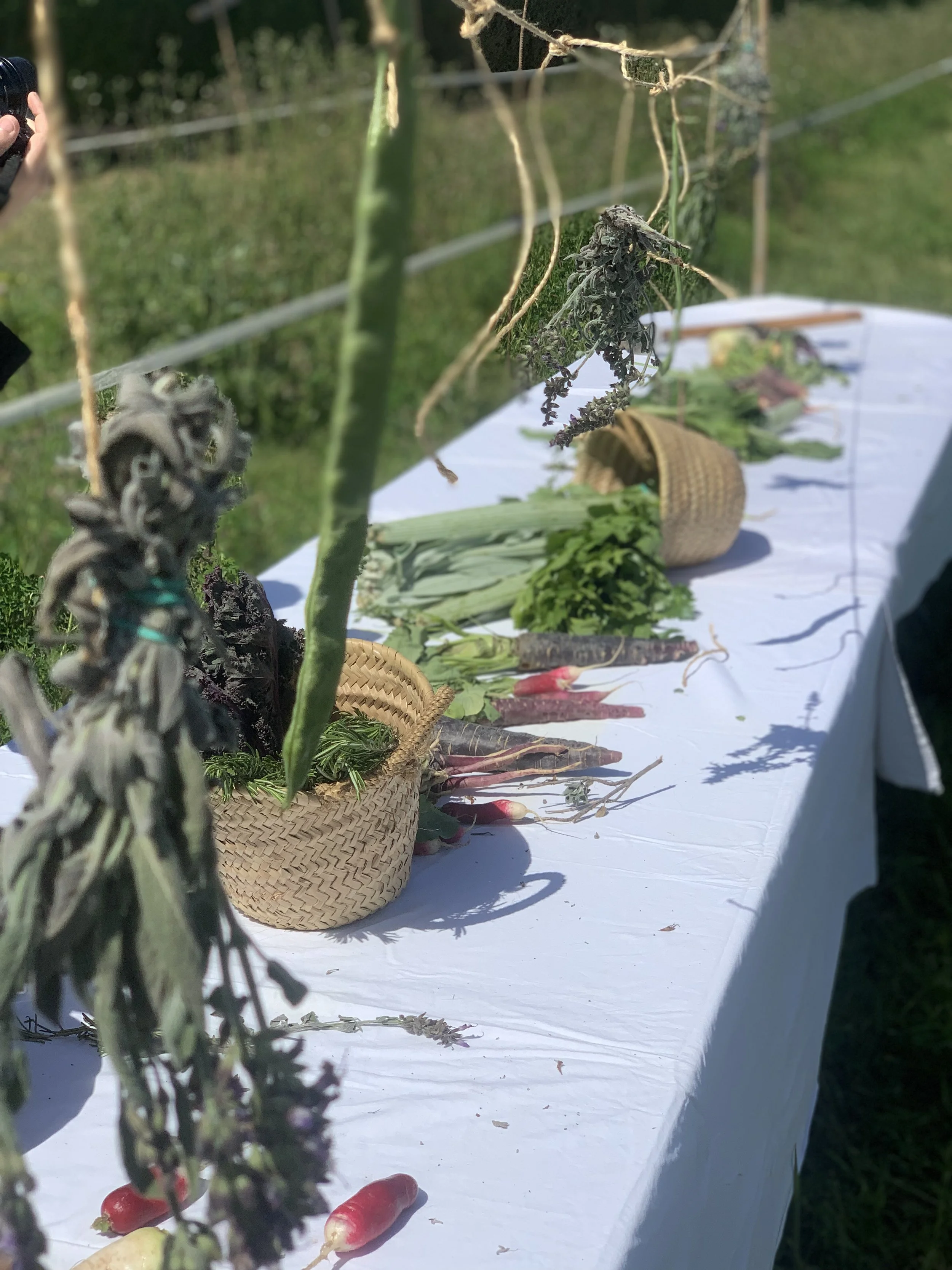 mediacion-huerta-y-taller-fermentos_@maider_sorasu