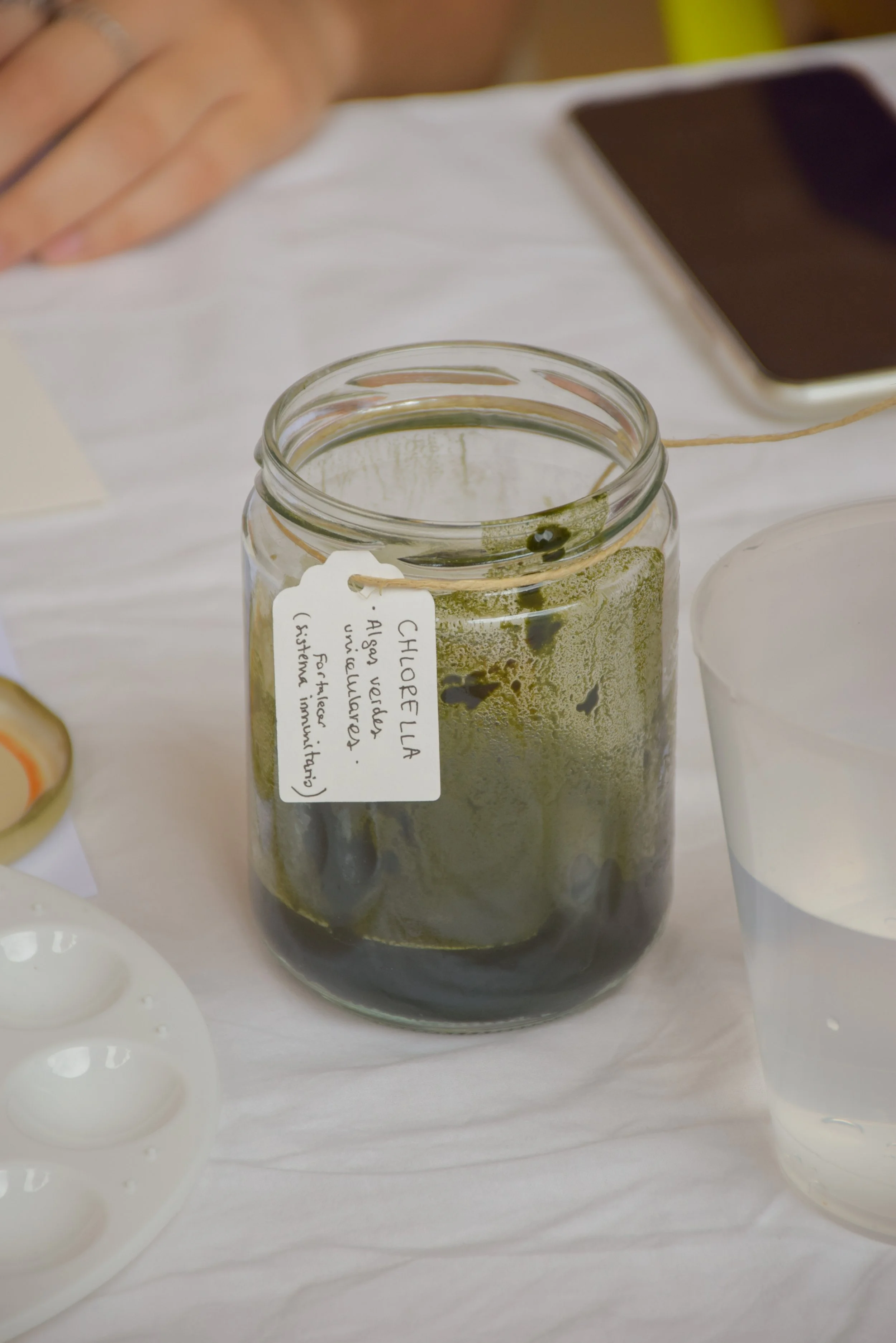 mediacion-fermenjar_@maider_sorasu