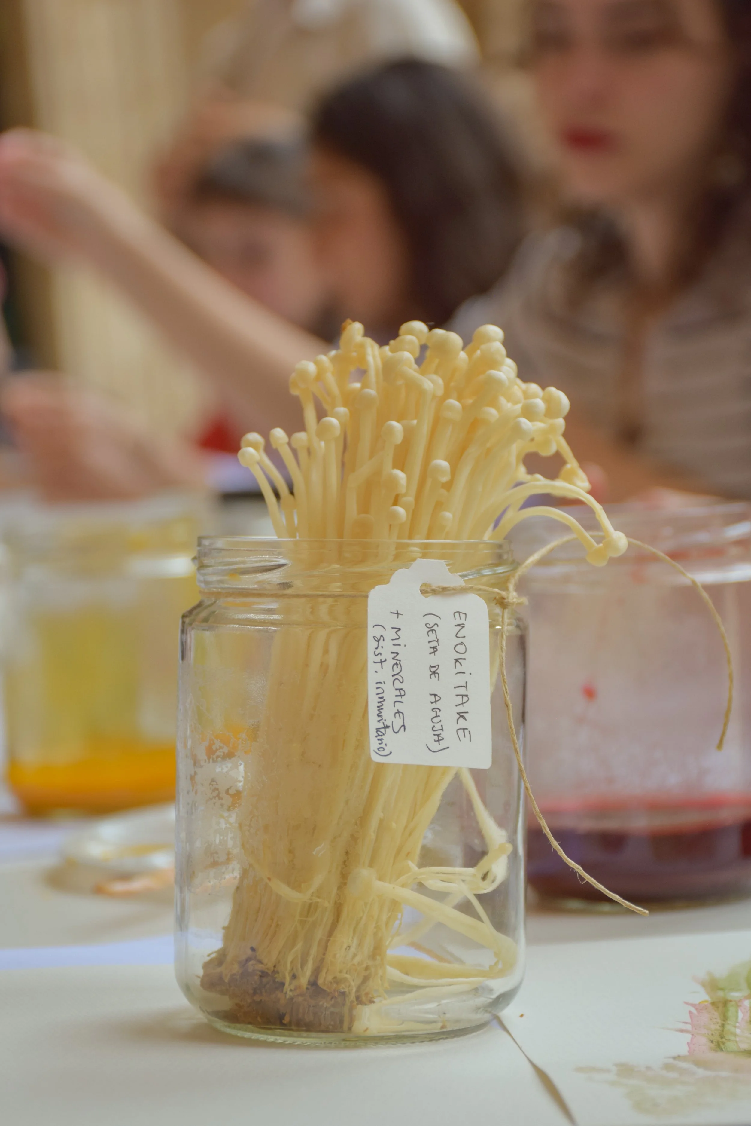 mediacion-fermenjar_@maider_sorasu