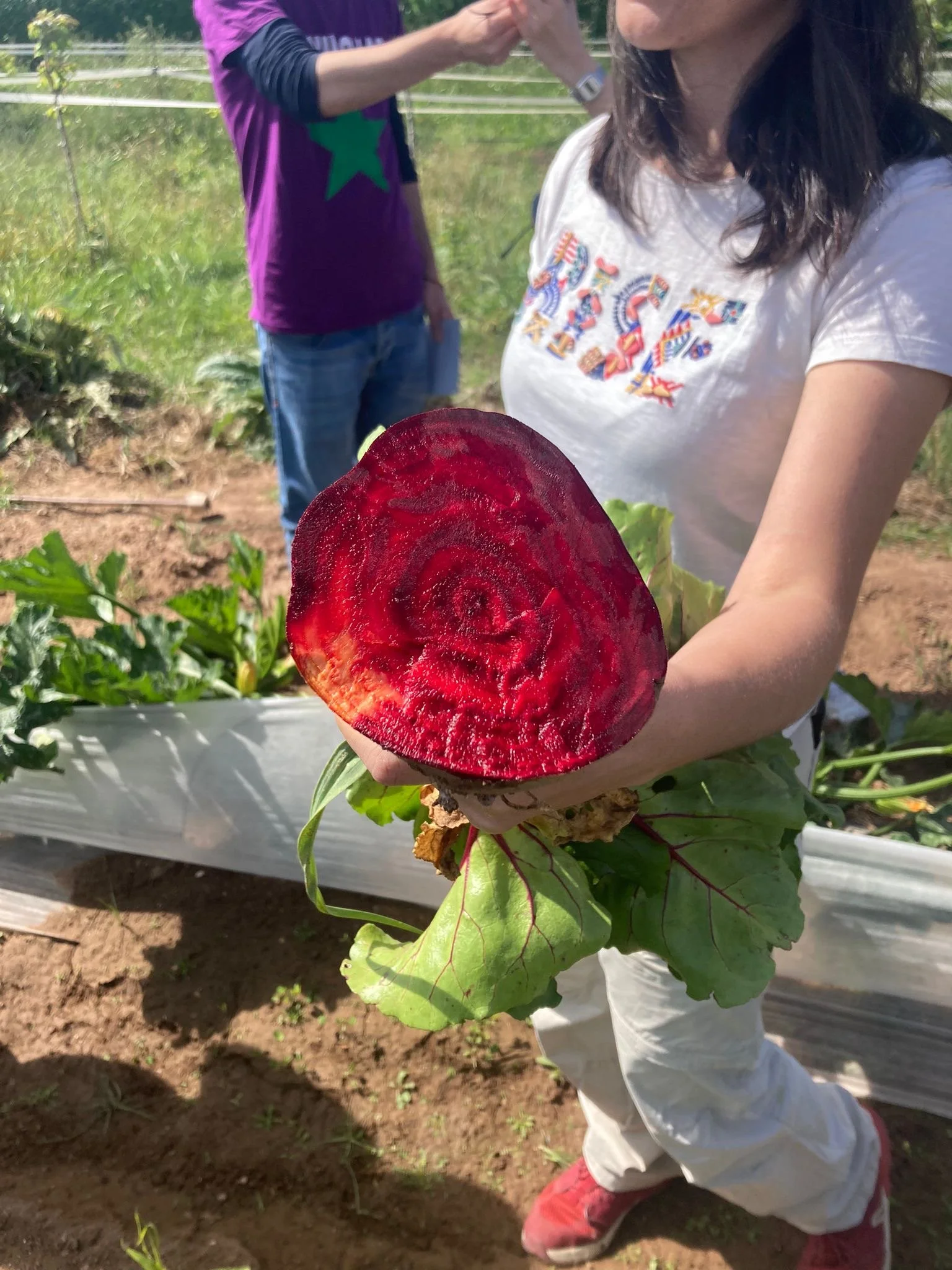 mediacion-huerta-y-taller-fermentos_@maider_sorasu
