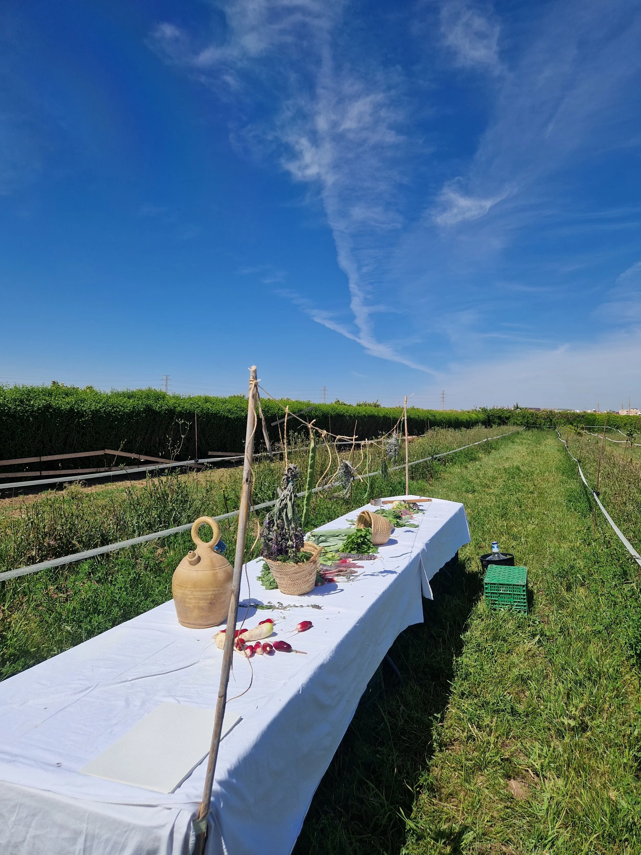 mediacion-huerta-y-taller-fermentos_@maider_sorasu