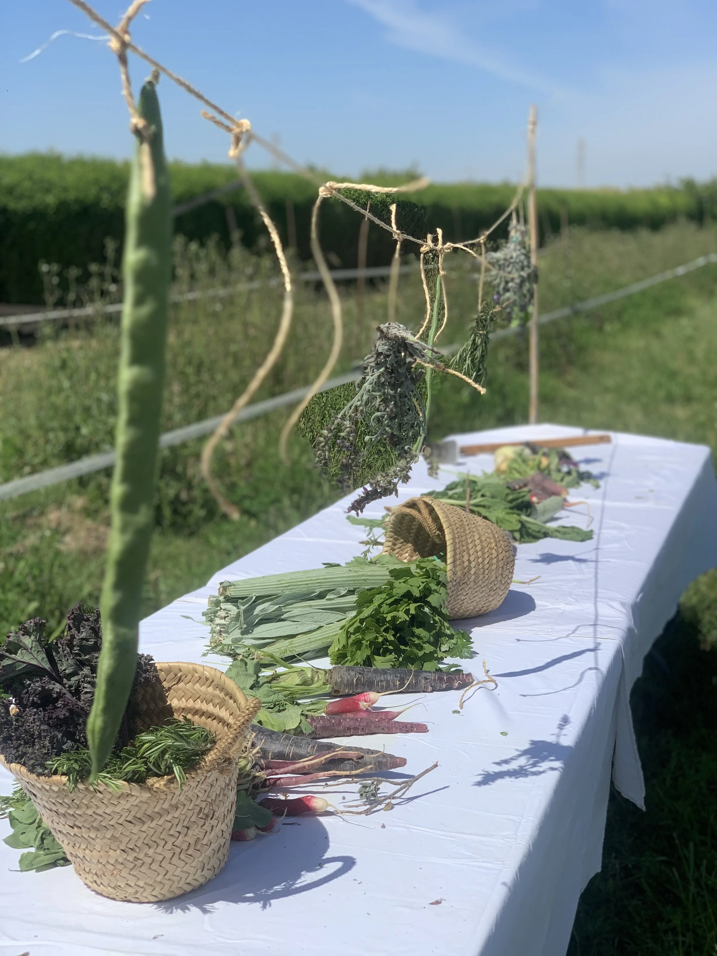 mediación sensorial y taller @maider_sorasu