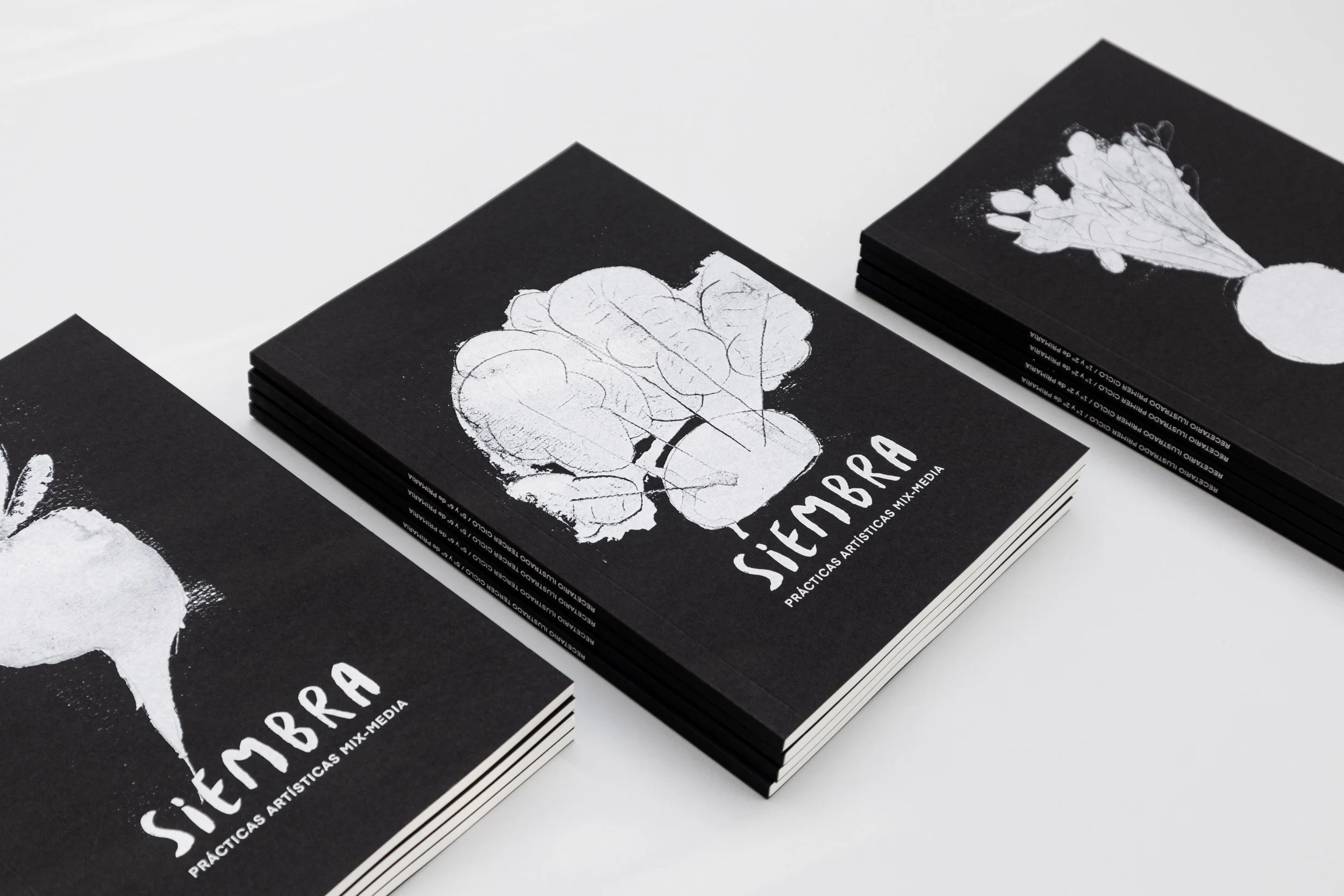 siembra-practicas-artisticas-mix-media_@maider_sorasu