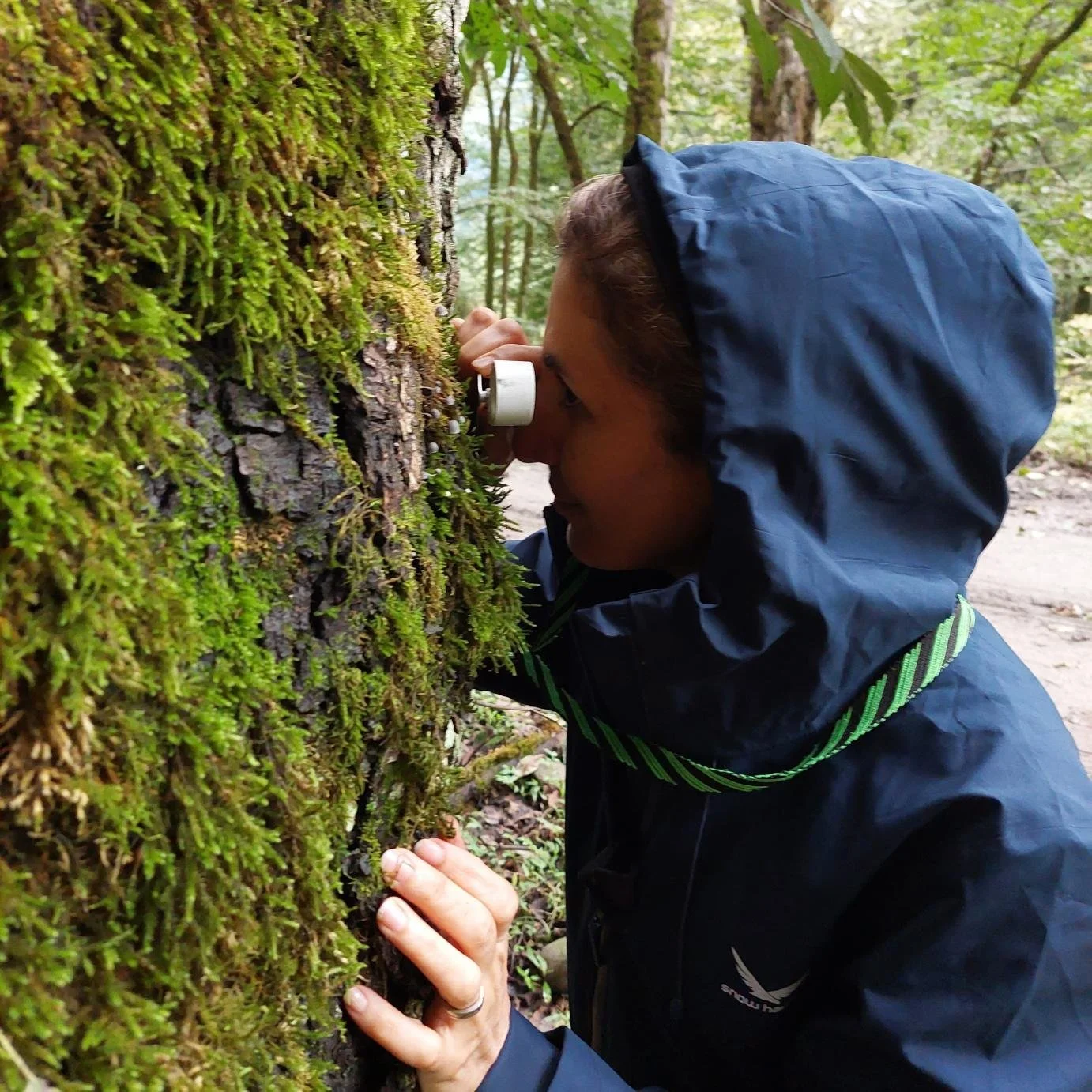 *New Editor | Masoomeh Ghobad-Nejhad, subject editor in mycology