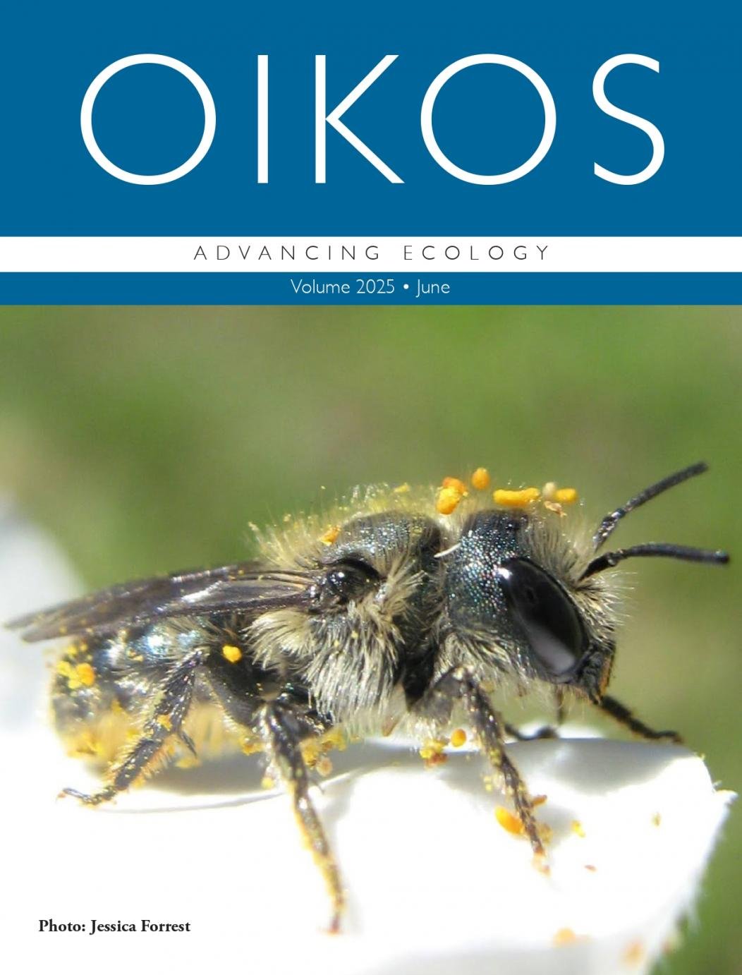 oikos_2025_06_cover_01_page-0001.jpg