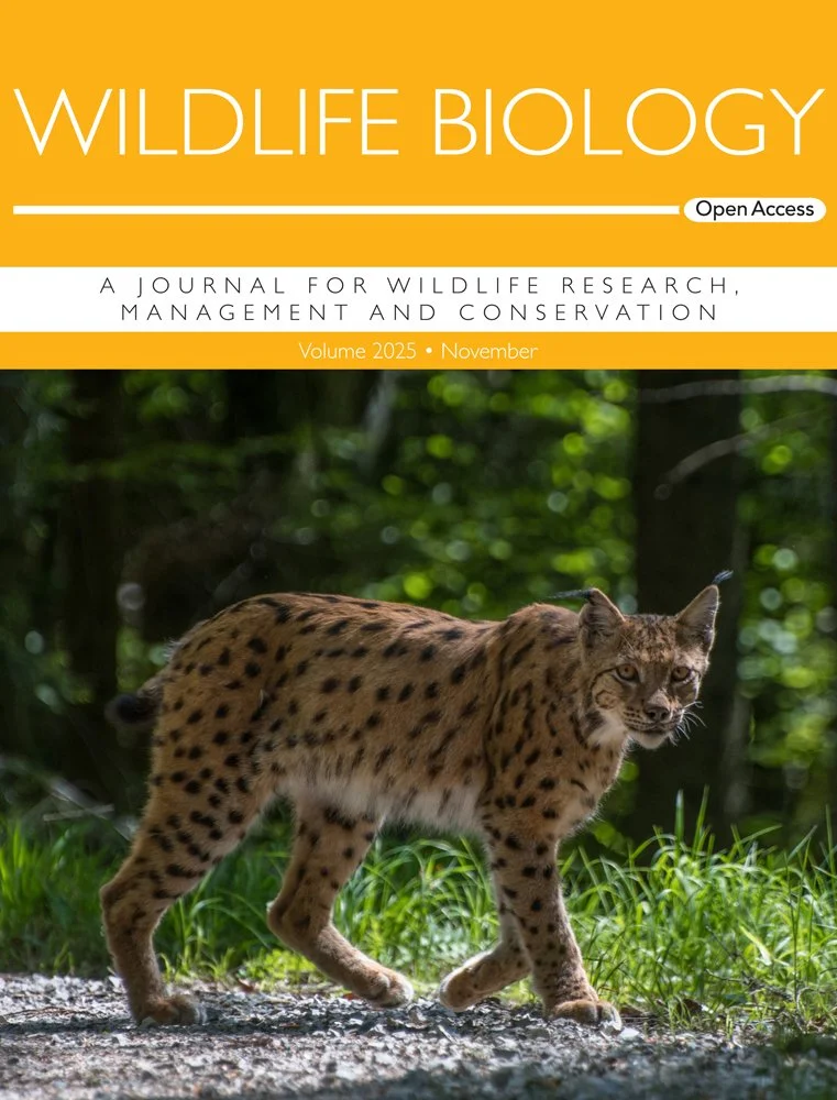 wlb_cover_2025_1112.jpg
