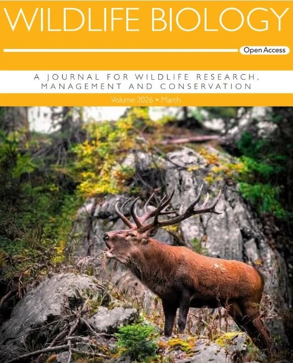 Cover March/April: https://vist.ly/4tax2