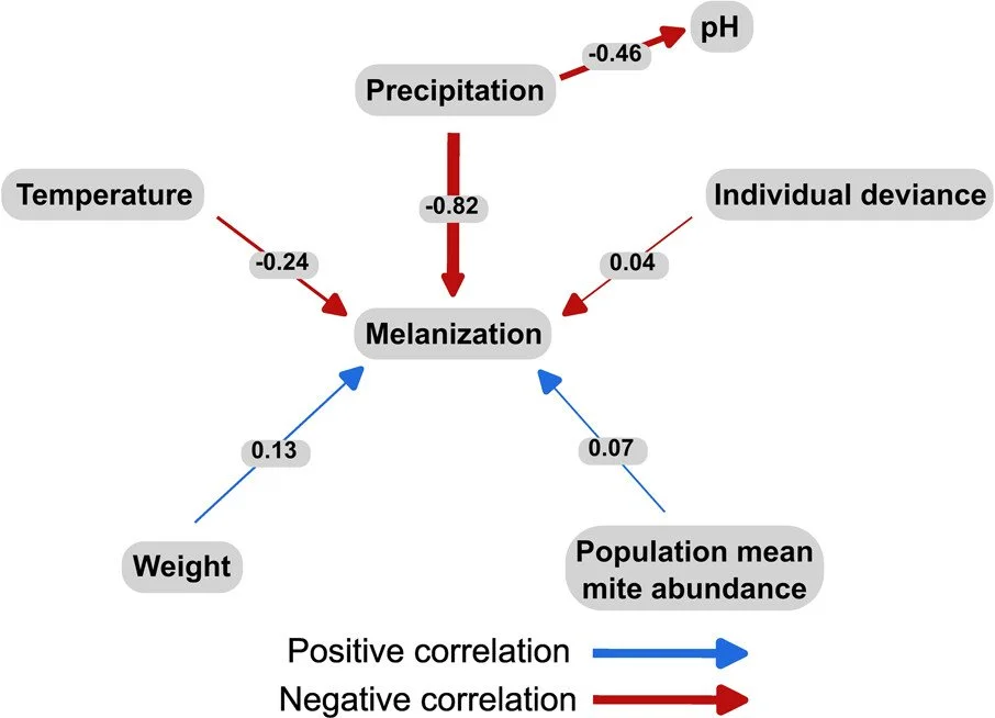 The macroecology of immunity: predominant influence of climate on invertebrate immune response https://vist.ly/4u8bq #Macroecology #Odonates #Parasites