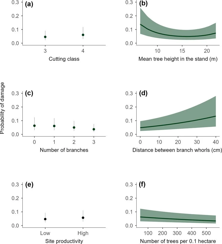 Risk factors for bark stripping damage on Norway spruce by red deer https://vist.ly/4u8gu #BarkStripping #RedDeer #Forestry