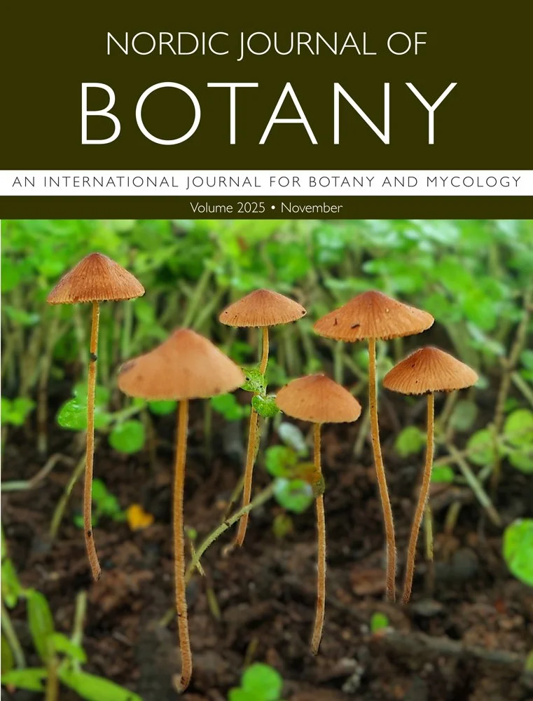 Cover | A new species of Conocybe
