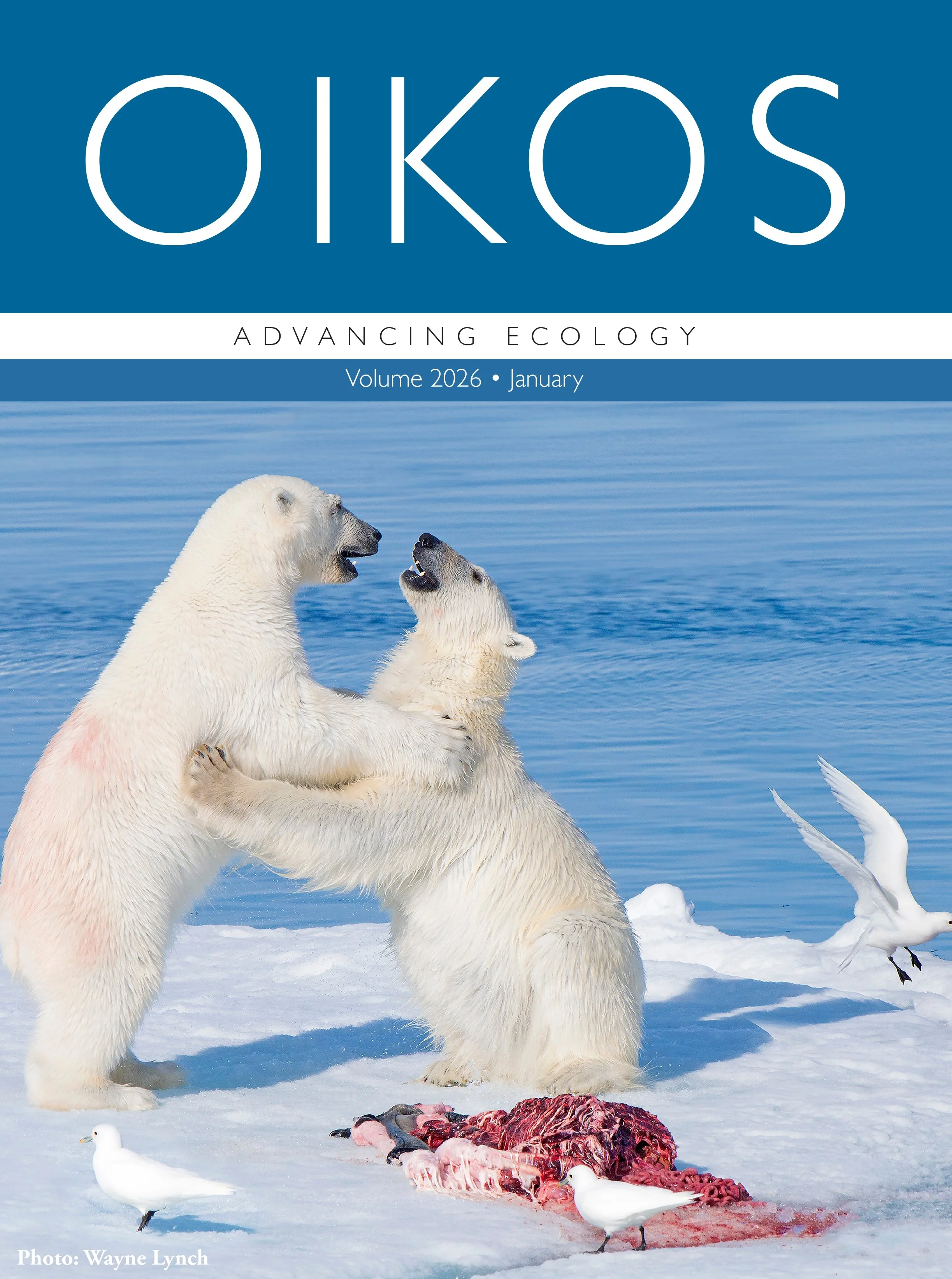 Cover | The Polar Bear Provision: Architects of an Arctic Food Web