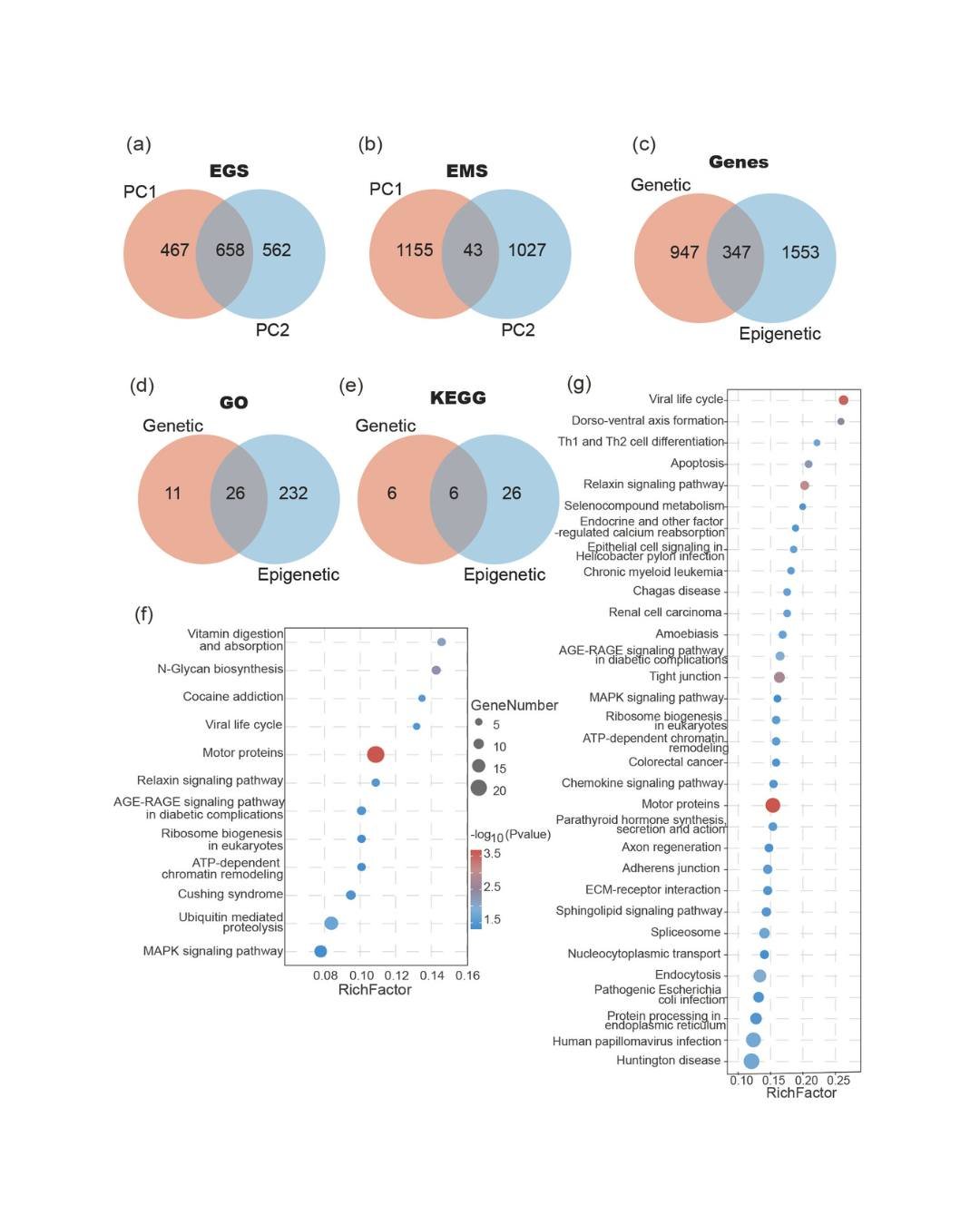 🔍🗺️Multi-omics insights into environmental adaptation and invasion potential of the ascidian Molgula manhattensis
ㅤ
https://vist.ly/4w8xa
ㅤ
#BiologicalInvasion #Climate #Mal #Adaptation #EnvironmentalHeterogeneity #EpigeneticVariation #GeneticVaria