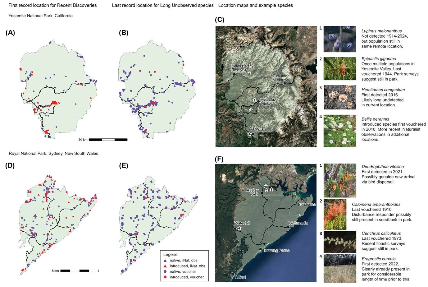Long unobserved and recently discovered: towards a better understanding of protected-area species dynamics using curated species lists https://vist.ly/4wm38 #Herbaria #iNaturalist