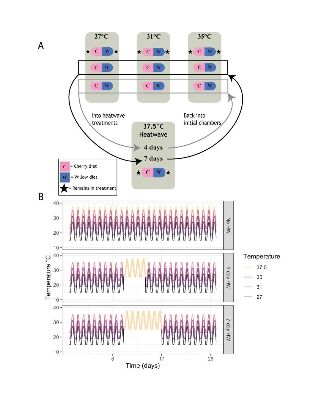 🌡️🦋Increasing temperatures and heatwave durations negatively affect the performance of a dietary generalist
ㅤ
https://vist.ly/4wmwe
ㅤ
#ClimateChange #DietBreadth #ExtremeHeatEvent #FallWebWorm #HyphantriaCunea #InsectFitness #TemperatureSizeRule
ㅤ