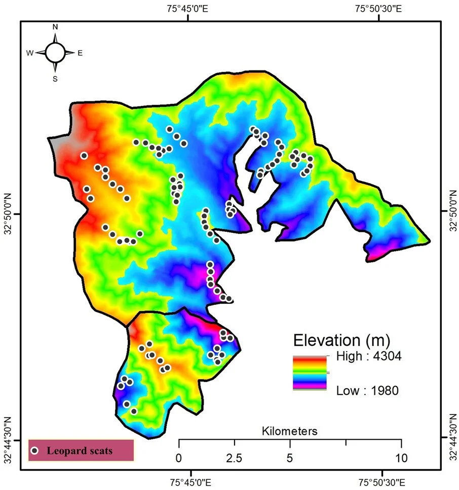 Dietary shift of the common leopard Panthera pardus in and around Bani Wildlife Sanctuary, western Himalayas: implications for conservation and human&ndash;wildlife conflict https://vist.ly/4wvut #Leopards #Prey #Scats
