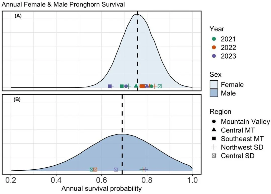 Annual survival in a dynamic species: pronghorn survival patterns across their northern range https://vist.ly/4x6s9 #Pronghorn #Survival #Demography