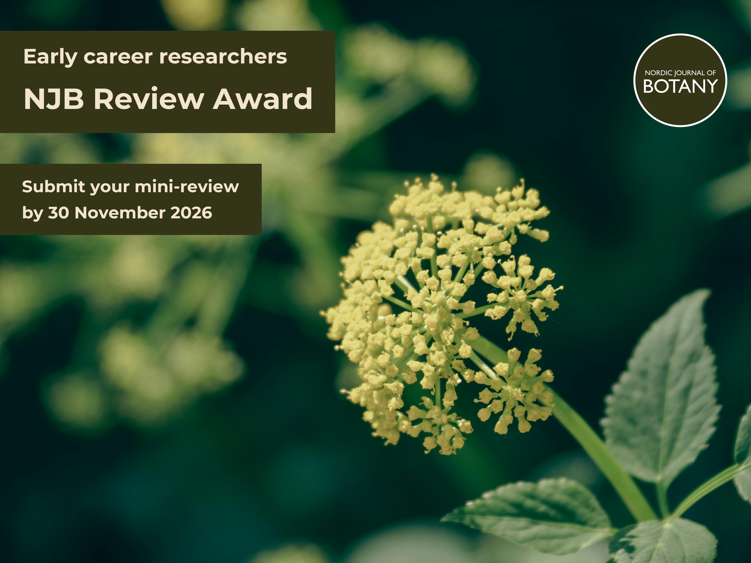 Award | Announcing the new NJB Review Award