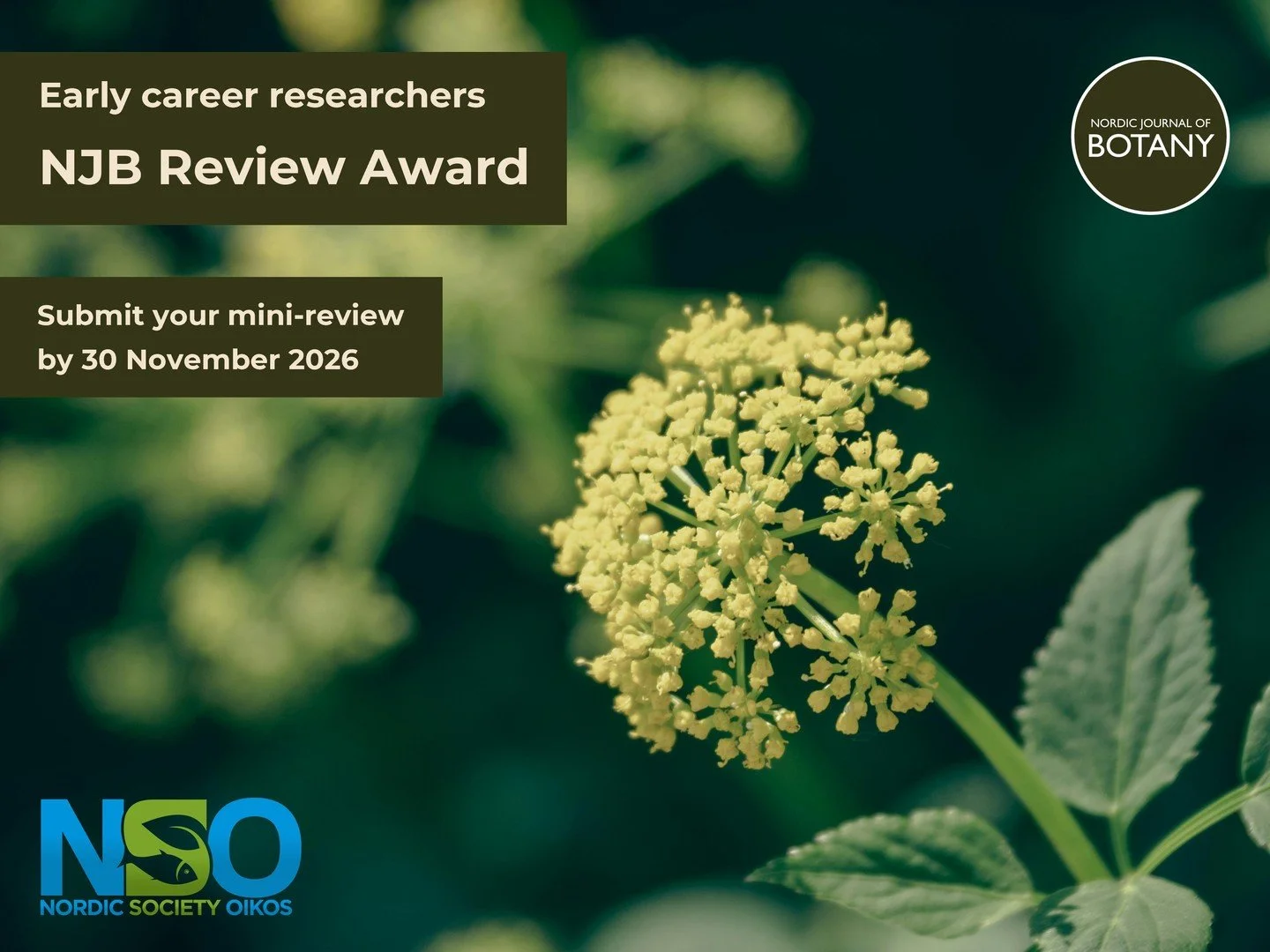 NEW ARTICLE CATEGORY AND AWARD!
ㅤ
📢 We are introducing a @nordicoikos sponsored review award for Early Career Researchers
ㅤ
🏆The award will be given to an ECR who has an exceptional MINI-REVIEW accepted for publication.
ㅤ
👉 Criteria and how to sub