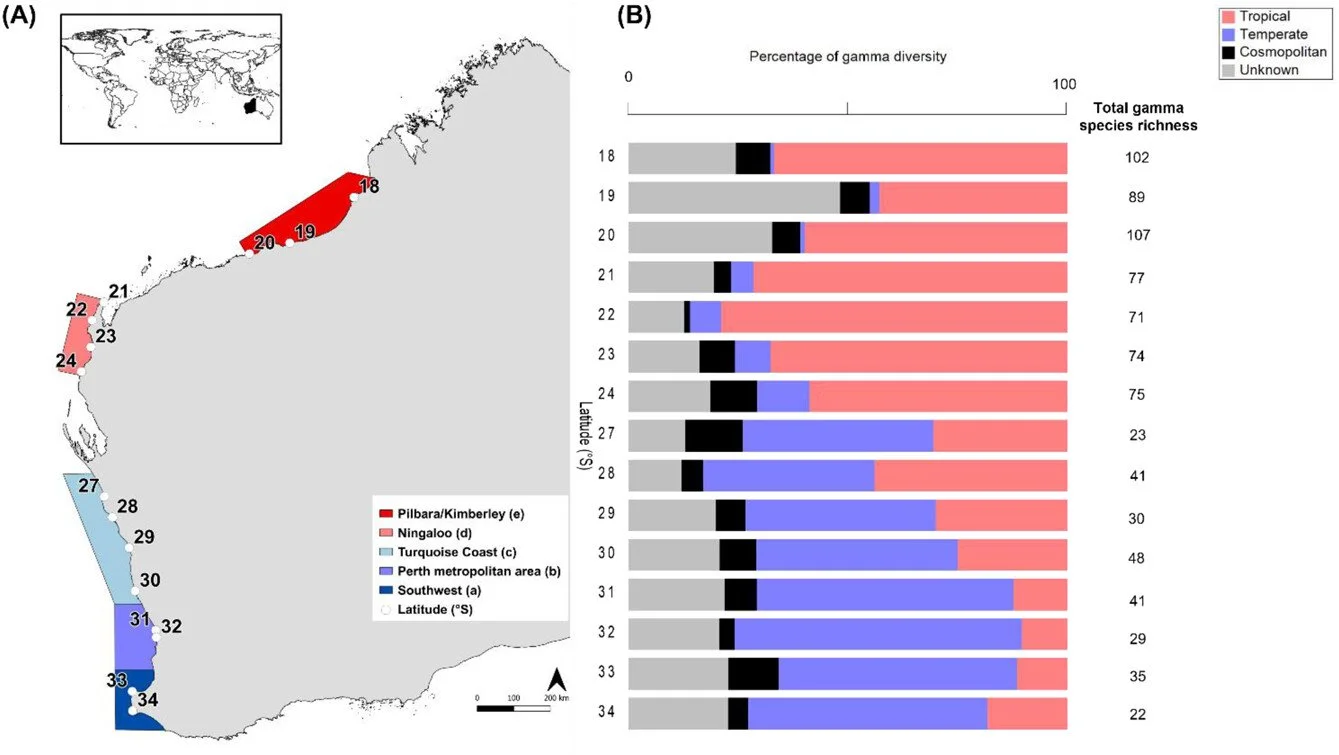 Biogeography of intertidal invertebrates is influenced by latitude along the west coast of Australia https://vist.ly/4zwgt #Invertebrates #MarineEcology #SDM