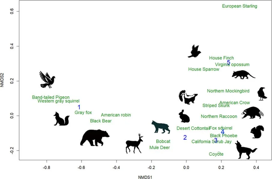 Concrete jungle to urban oasis: evaluating scale, vegetation cover, and aggregation of urban greenspaces on wildlife https://vist.ly/42965 #UrbanWildlife #Greenspace
