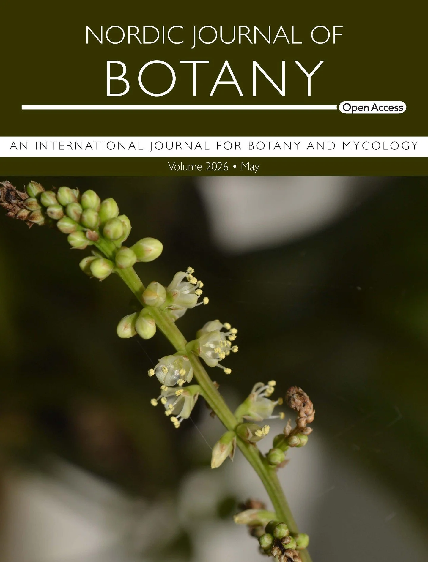 NEW ISSUE: The NJB May issue is out! The cover image shows the pistillate flowers of Hechtia mixtecana, a new species described by Hern&aacute;ndez-C&aacute;rdenas et al.
ㅤ
➡️Read the full issue here: https://vist.ly/42vt2
ㅤ
@nordicoikos #OpenAccess