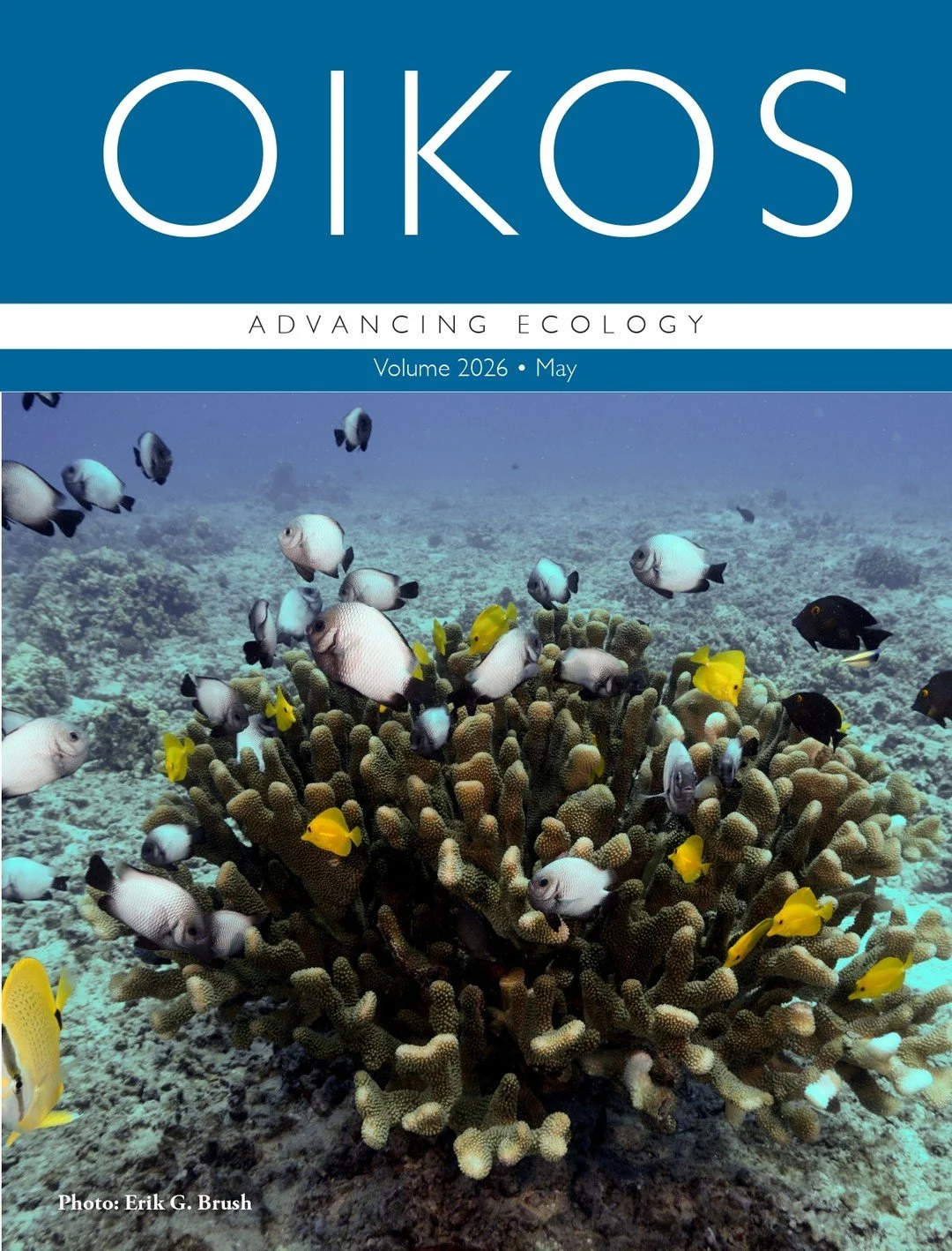 Our cover for May! 🐠
ㅤ
On Hawaiian reefs, a field experiment conducted by Brush et al. (2026) shows that early-arriving competitors and predators can strongly shape who gets to live on coral colonies.
ㅤ
https://vist.ly/533xw
ㅤ
📷 Erik Brush