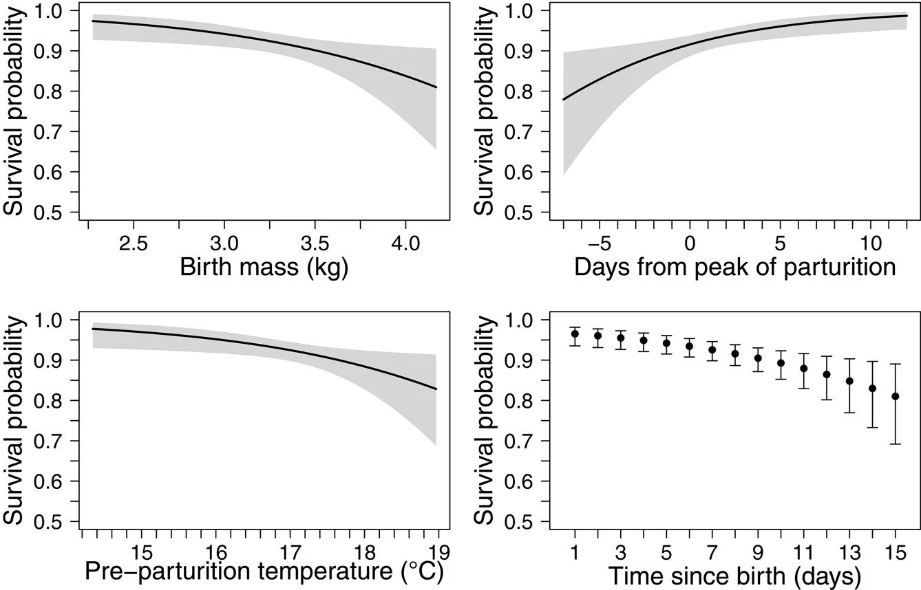 Biological and environmental drivers of early life fawn survival in a declining pronghorn population https://vist.ly/536z7 #Coyote #Predation #Mortality