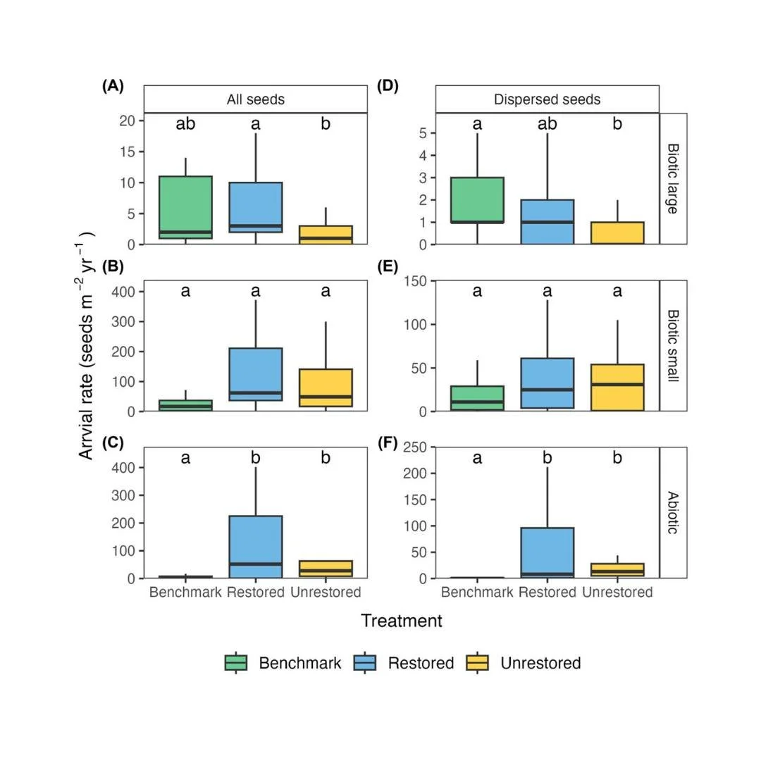 🌴🔄Partial recovery of large seed arrival following ecological restoration in fragmented tropical rainforests
ㅤ
https://vist.ly/538fk
ㅤ
#DispersalLimitation #ForestRecovery #Fragmentation #NaturalRegeneration #Restoration #SeedDispersal #SeedRain #S
