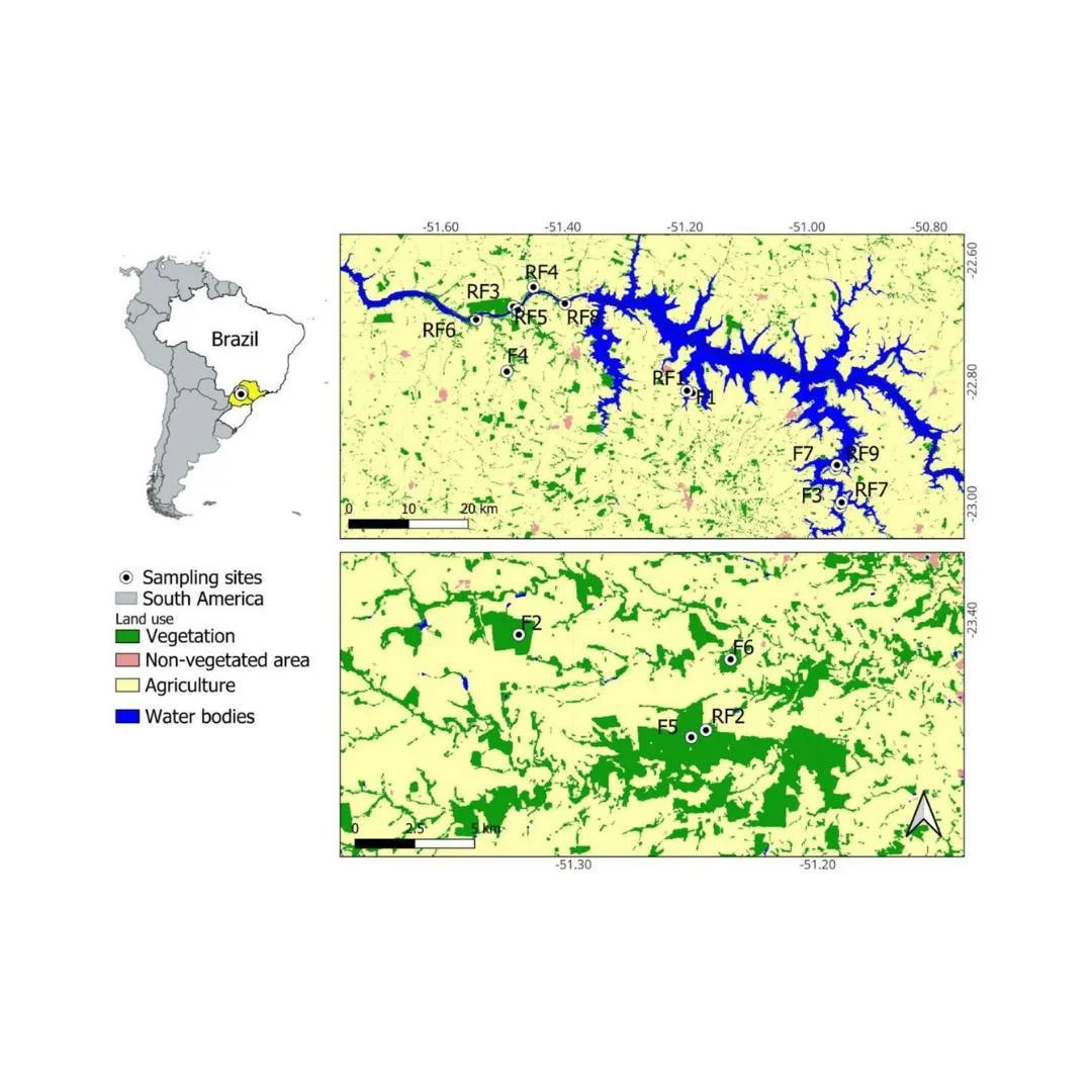 🔗🔷🔹Linking regional and global functional trait data: insights from mammal communities in a fragmented Atlantic Forest landscape
ㅤ
https://vist.ly/53dax
ㅤ
#Brazil #Biodiversity #EnvironmentalFiltering #FunctionalDiversity #HabitatFragmentation #In