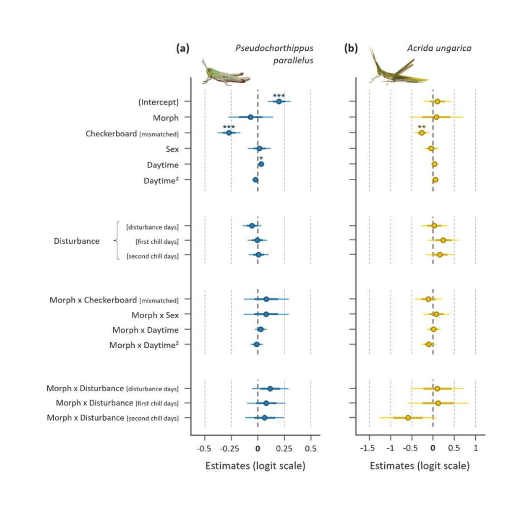 🛖🦗Matching habitat choice could be brightness-based instead of hue-based in green-brown polymorphic grasshoppers
ㅤ
https://vist.ly/53fsv
ㅤ
#Acrididaeb #BackgroundColourMatching #GreenBrownPolymorphism #HabitatSelection #Luminance #Orthoptera
ㅤ
