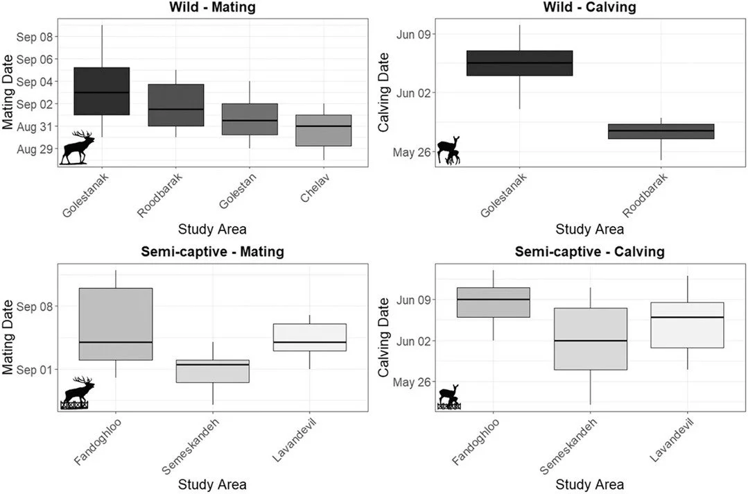 Phenological responses to climate change: advancing mating and calving in wild and semi-captive Caspian red deer https://vist.ly/53zja #ClimateChange #Conservation #Management